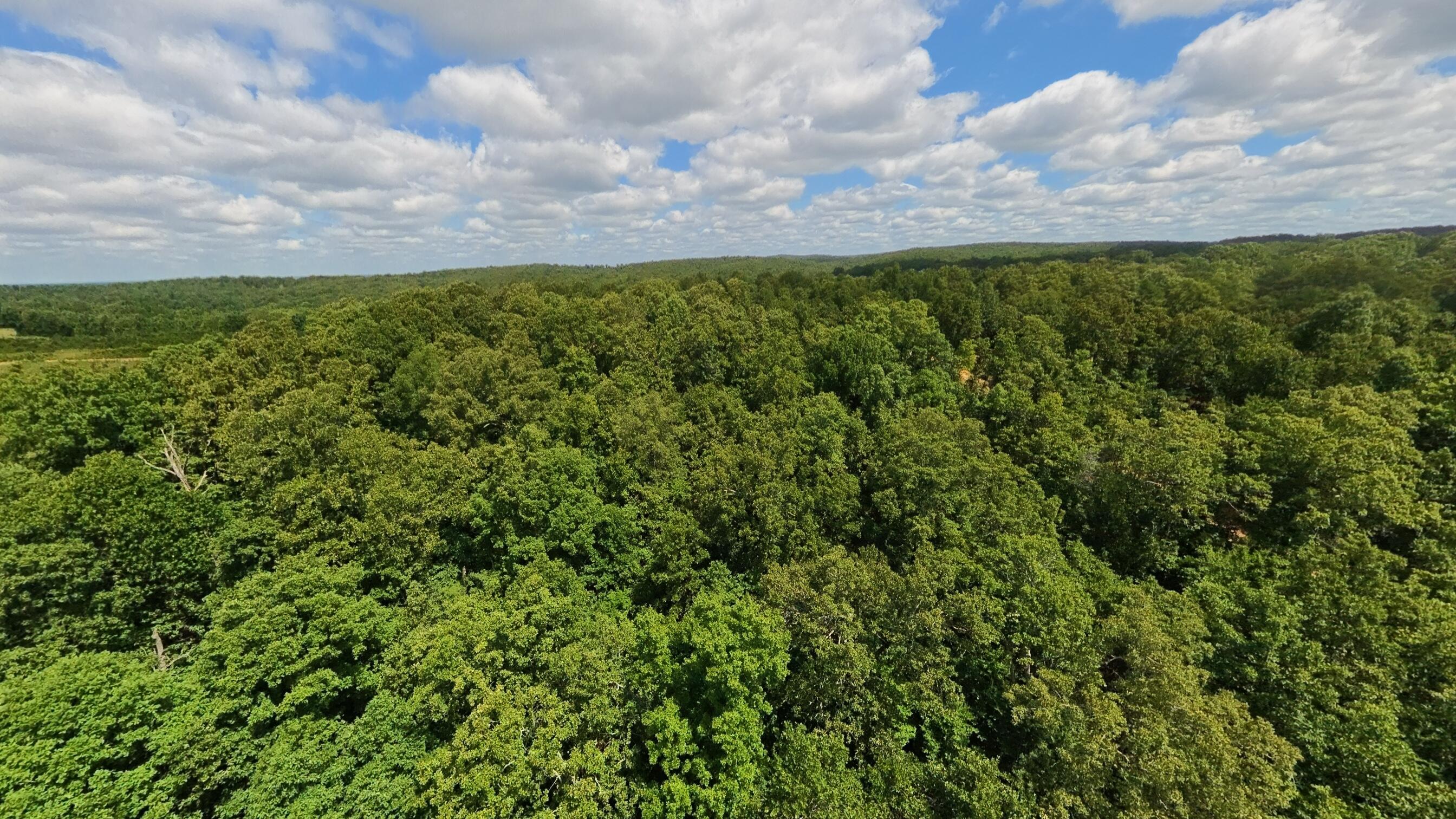 Photo 34 - Land for sale – 000  Ridgehaven Road  Mammoth Spring, AR