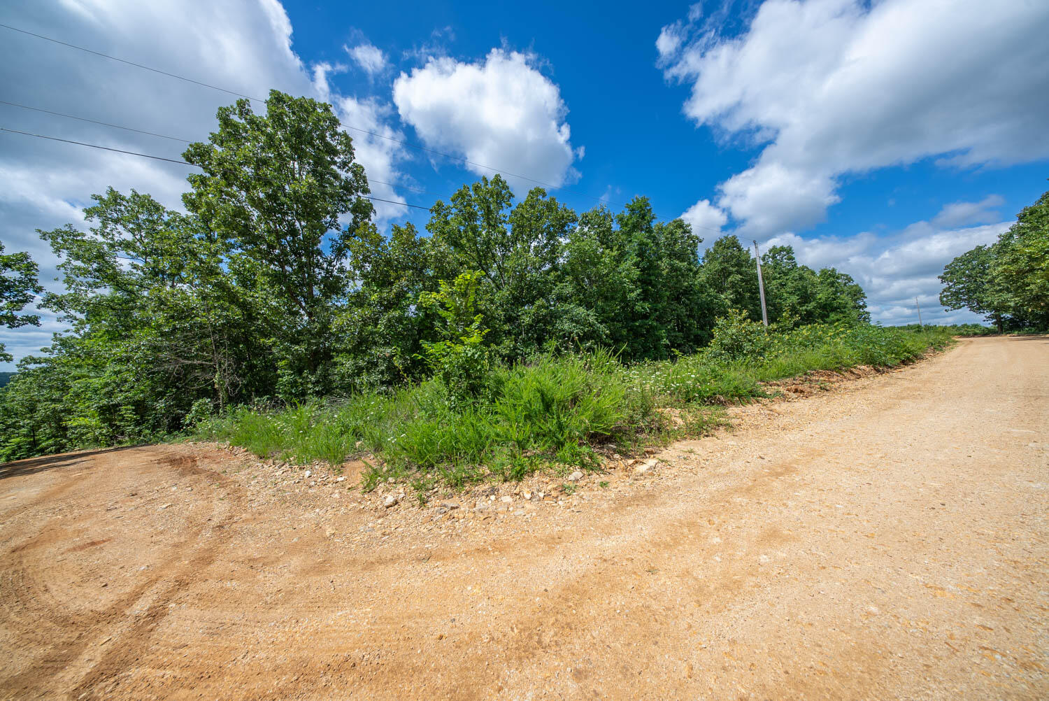 Photo 31 - Land for sale – 000  Ridgehaven Road  Mammoth Spring, AR