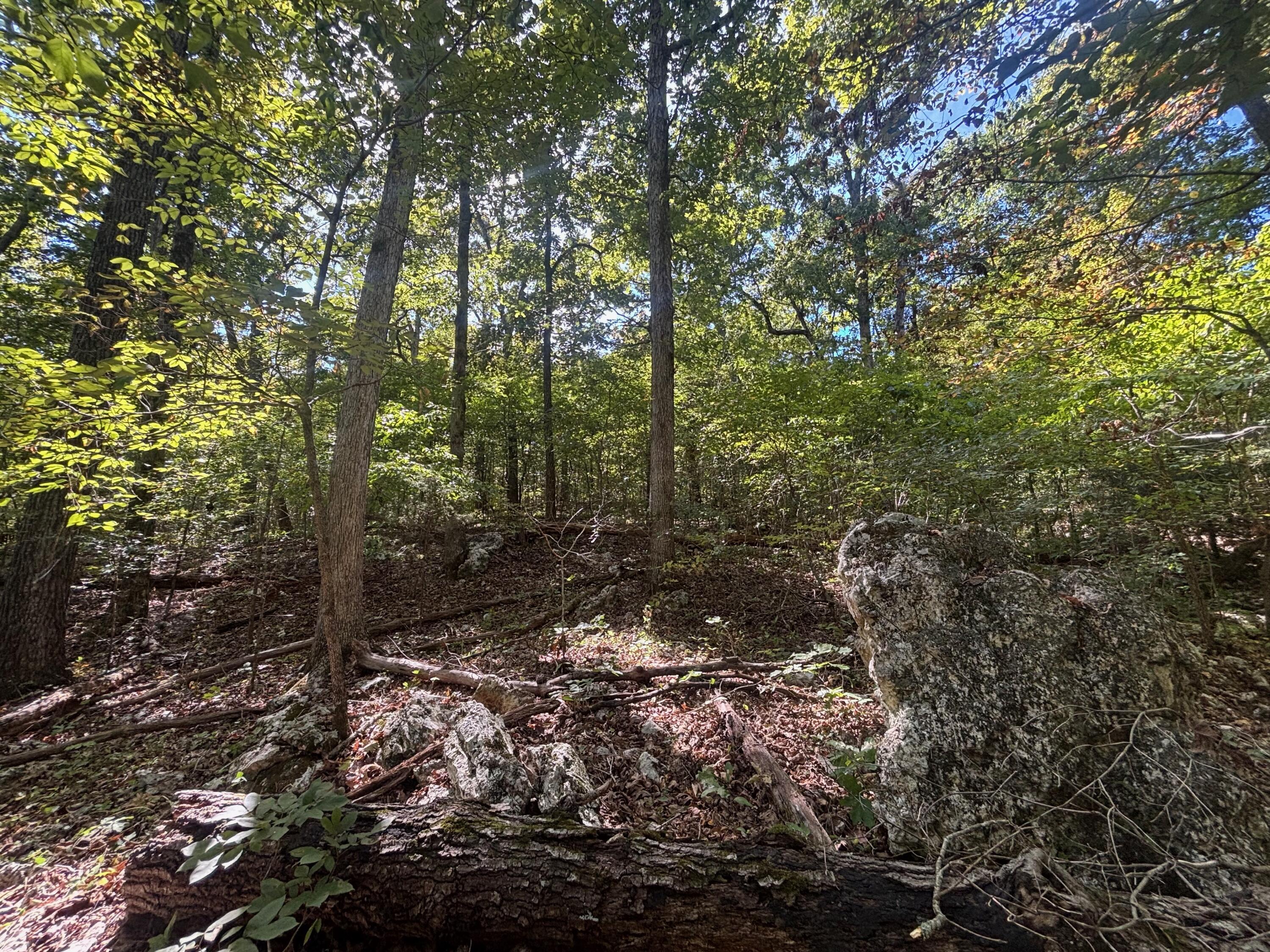 Photo 12 - Land for sale – 000  Ridgehaven Road  Mammoth Spring, AR