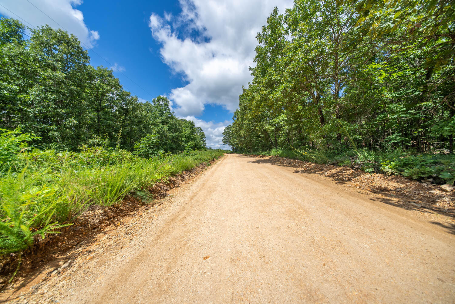 Photo 29 - Land for sale – 000  Ridgehaven Road  Mammoth Spring, AR