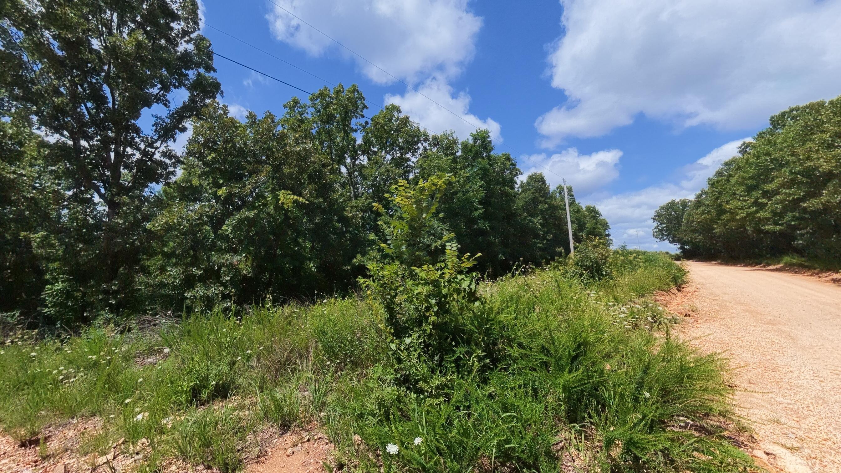 Photo 27 - Land for sale – 000  Ridgehaven Road  Mammoth Spring, AR