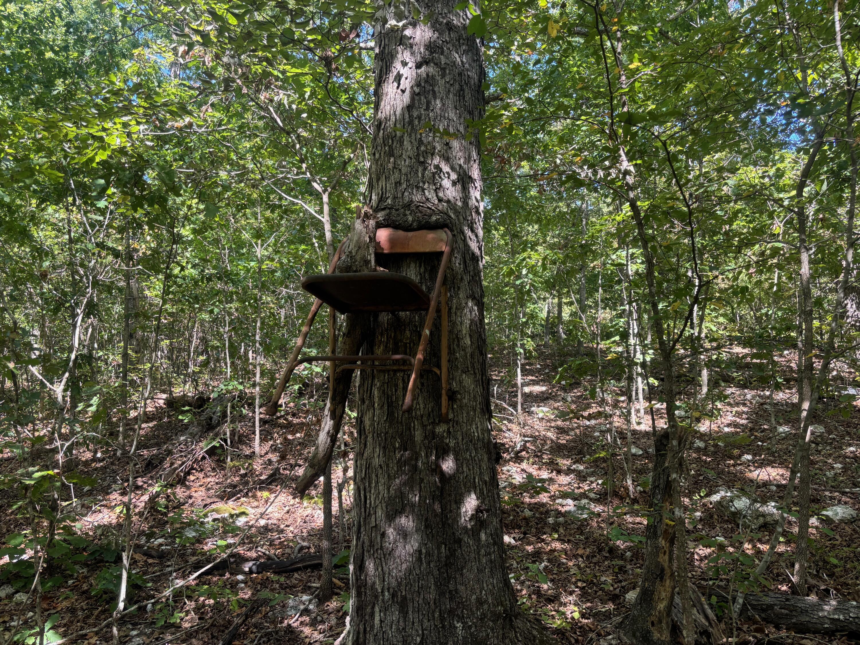 Photo 5 - Land for sale – 000  Ridgehaven Road  Mammoth Spring, AR