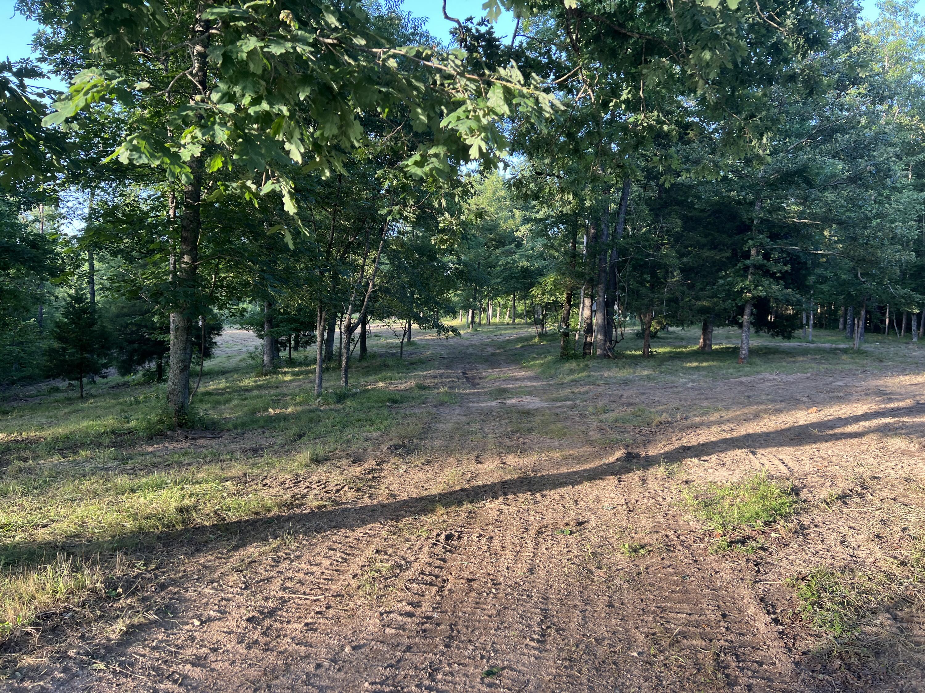 Photo 3 - Land for sale – 000 S 95 Lot 26 Highway  Ava, MO