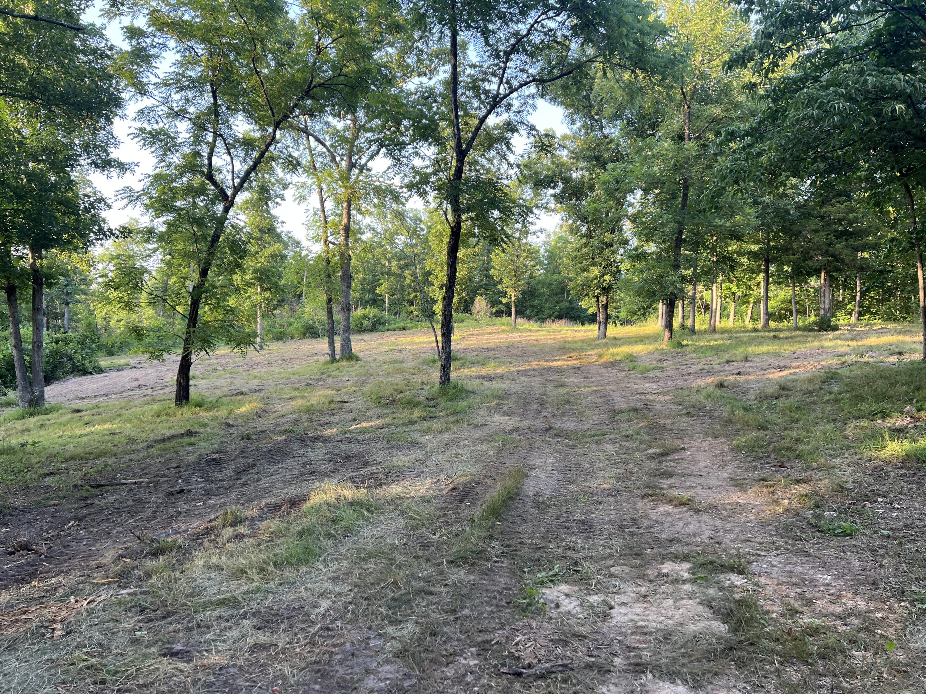 Land for sale – 000 S 95 Lot 26 Highway Ava, MO
