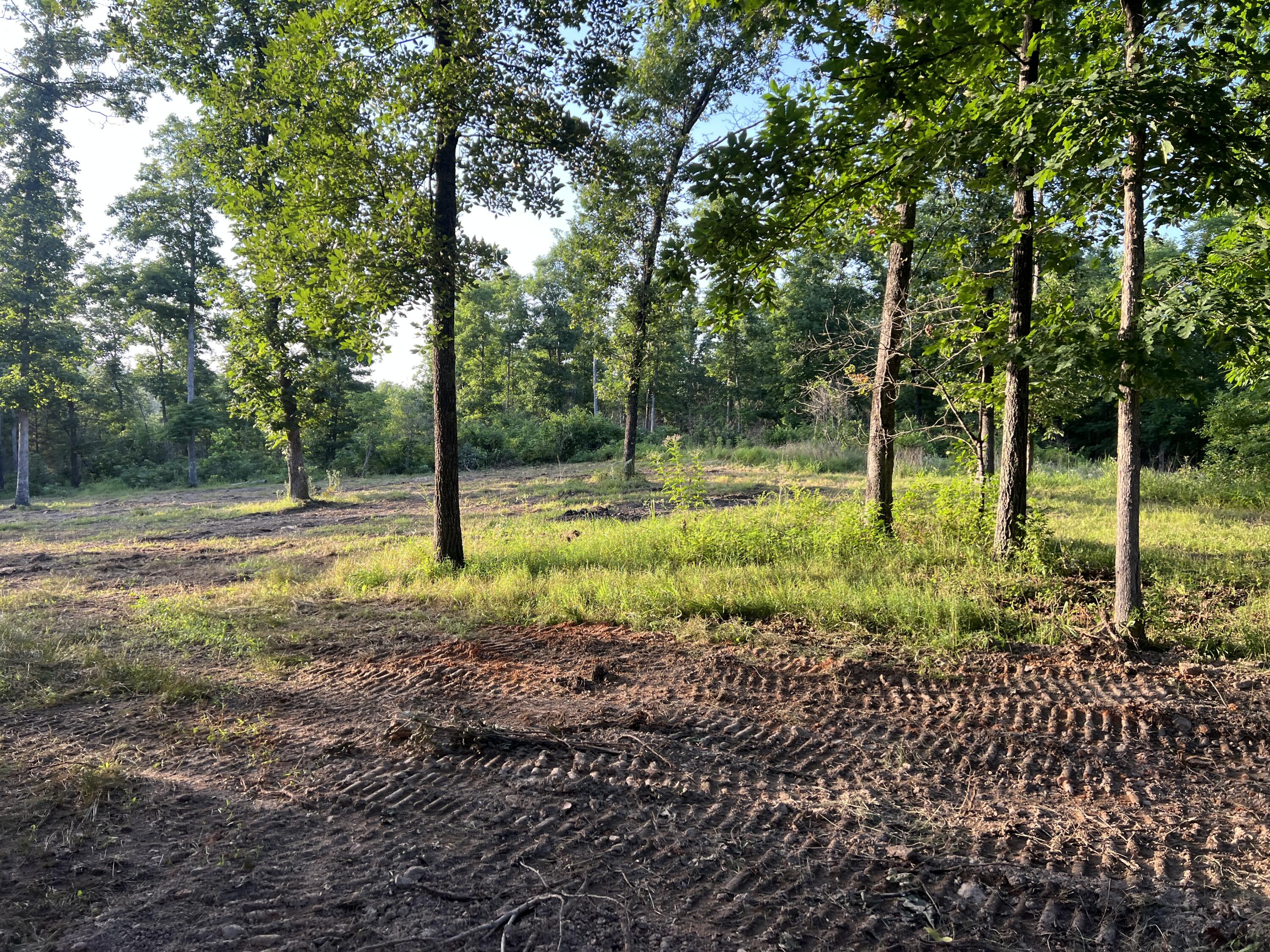 Photo 5 - Land for sale – 000 S 95 Lot 26 Highway  Ava, MO