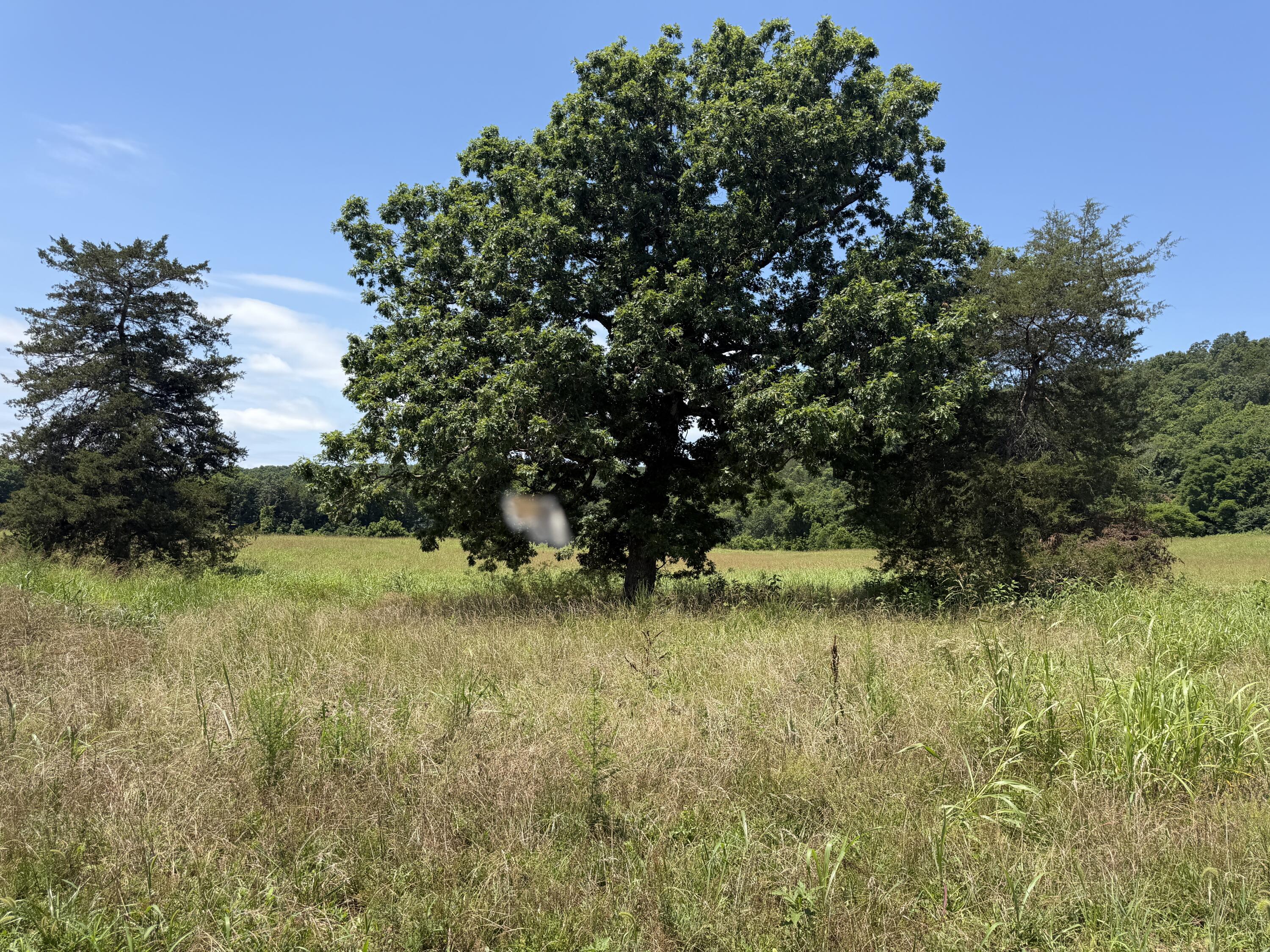 Land for sale – 000  Northfork Village   Tecumseh, MO