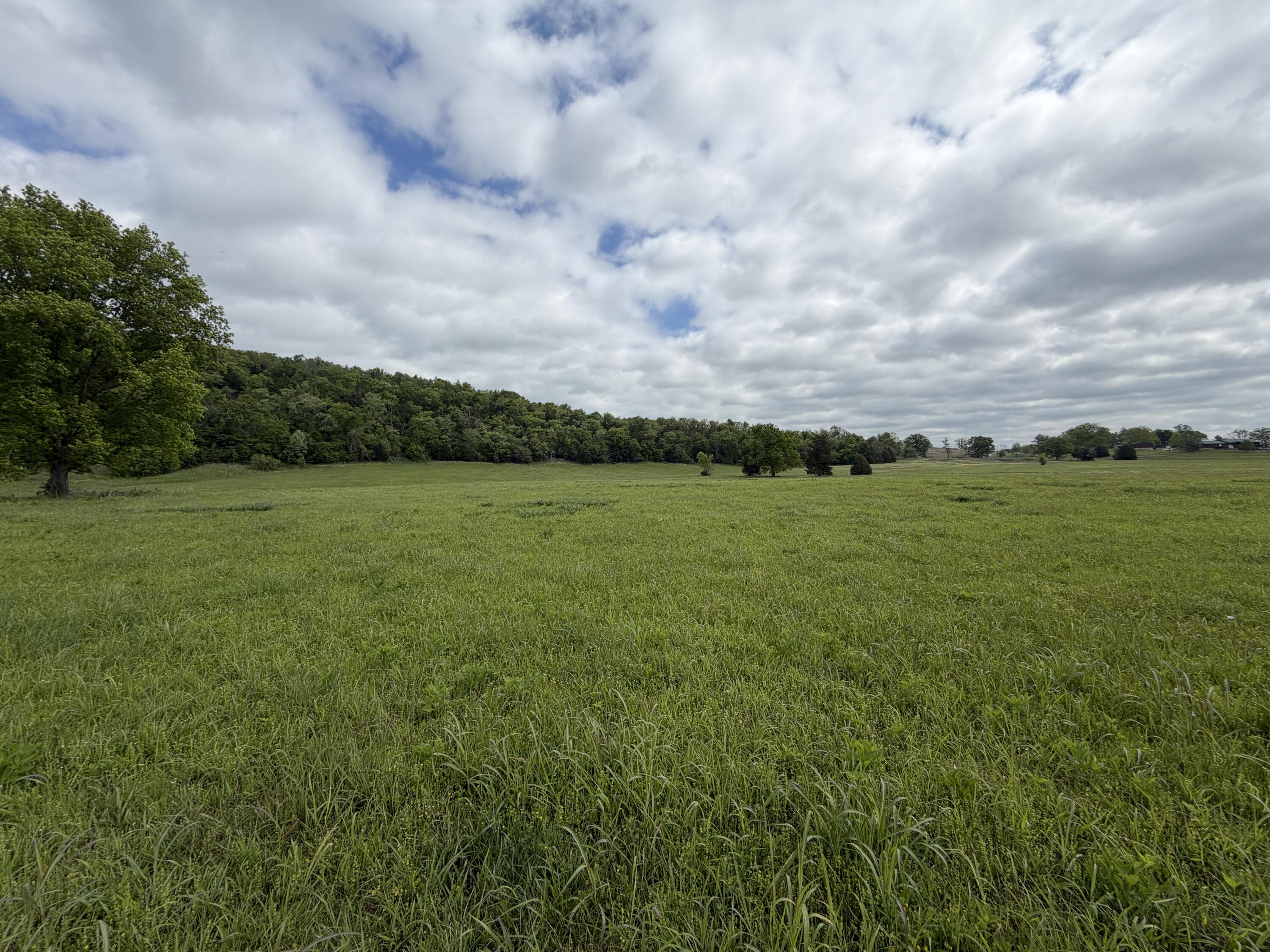 Photo 8 - Land for sale – 000  Northfork Village   Tecumseh, MO