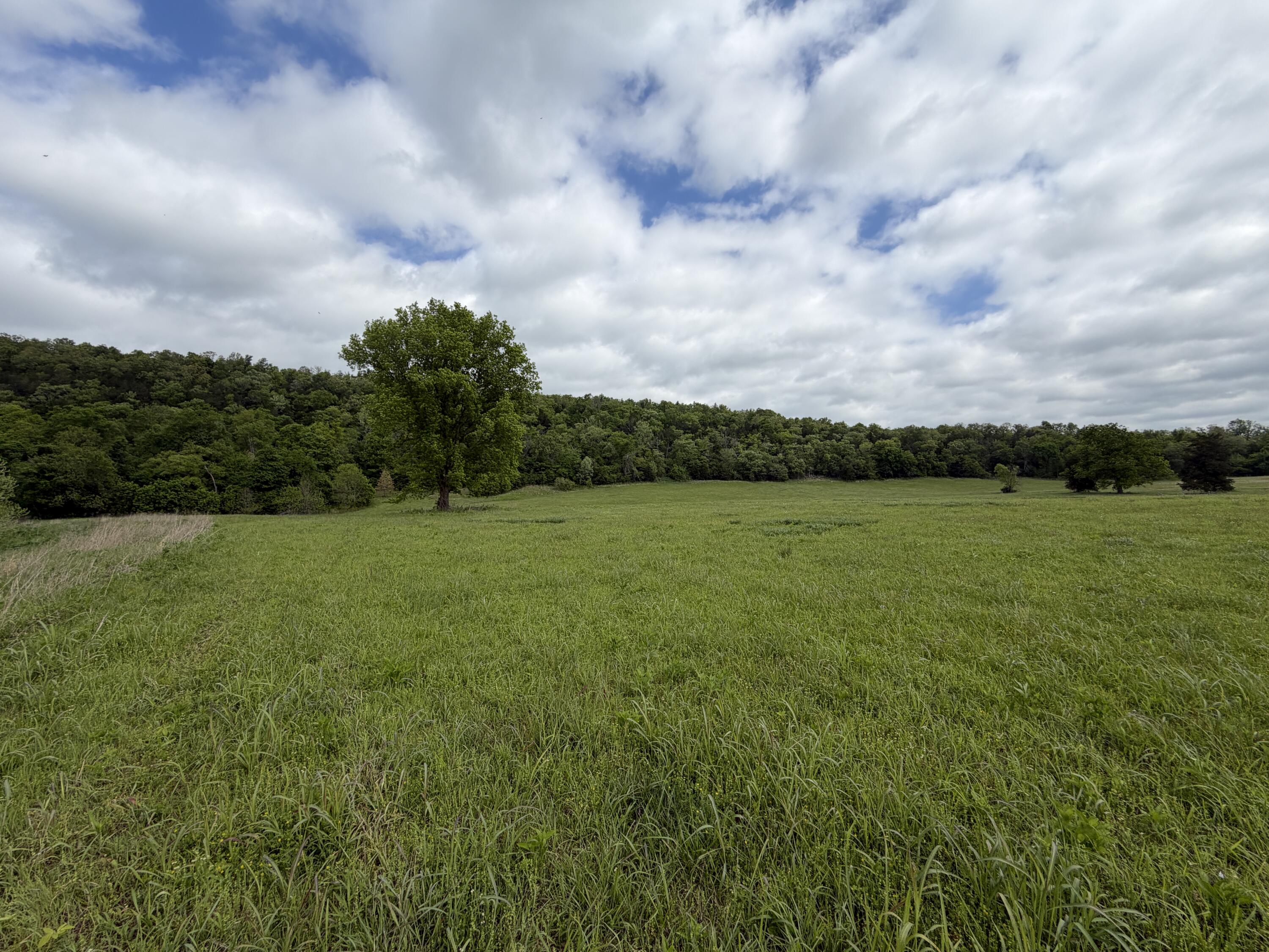 Photo 2 - Land for sale – 000  Northfork Village   Tecumseh, MO