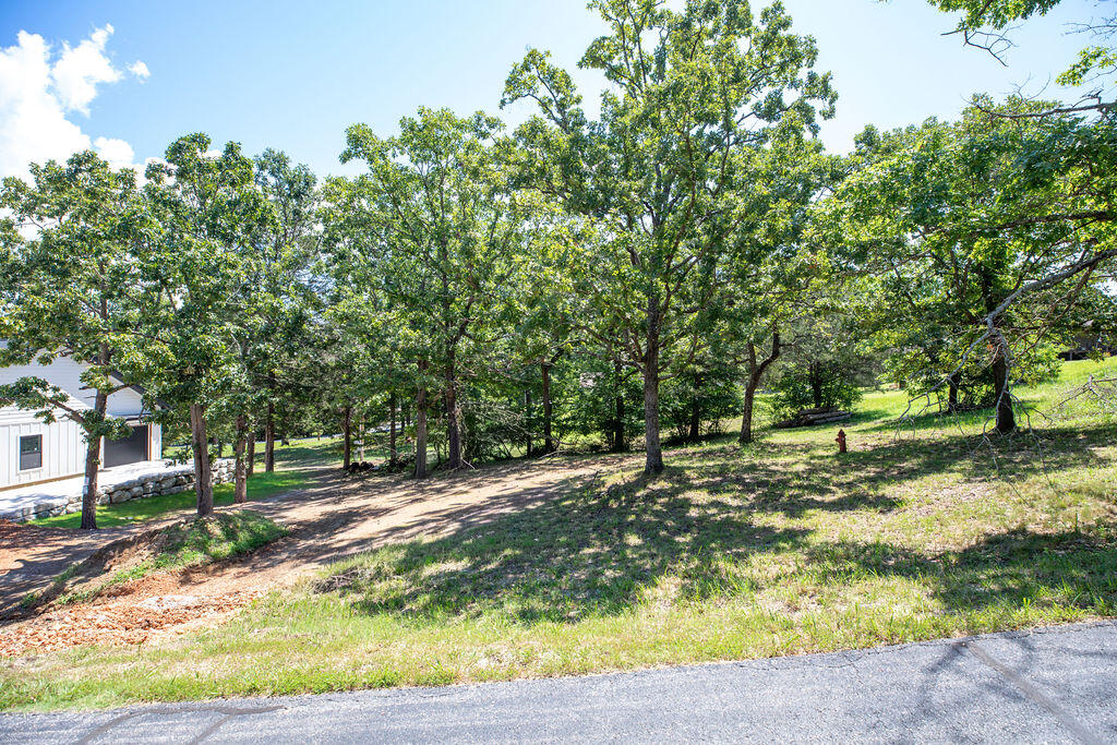 Photo 44 - Residential for sale – 234 N Cedar Drive  Blue Eye, MO