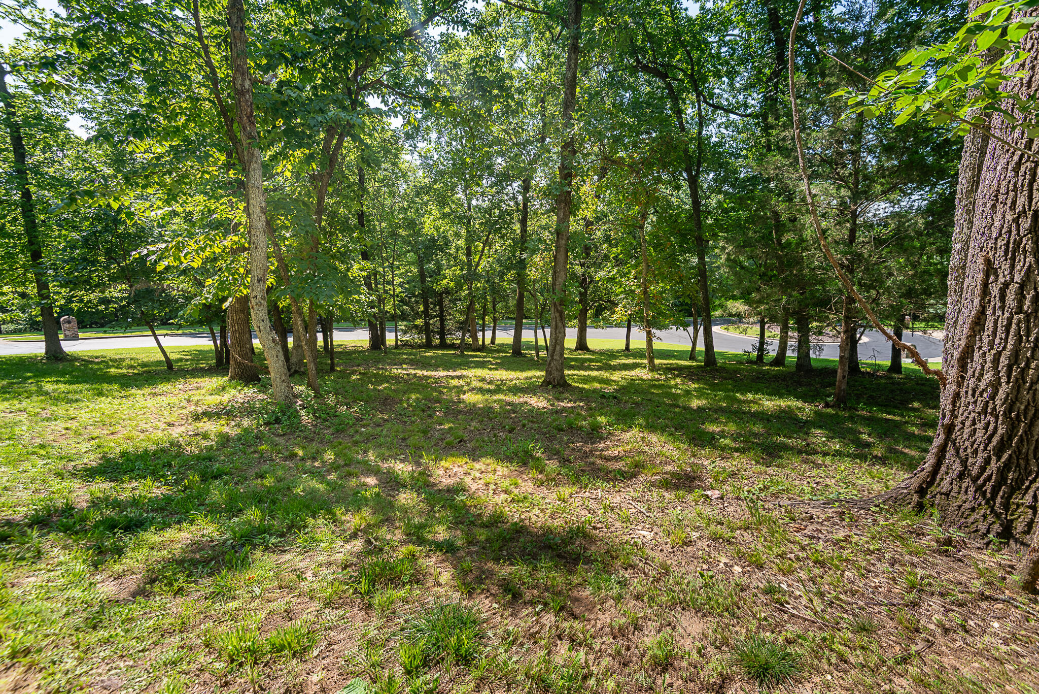 Photo 5 - Land for sale – 5201 S Nettleton Avenue  Springfield, MO
