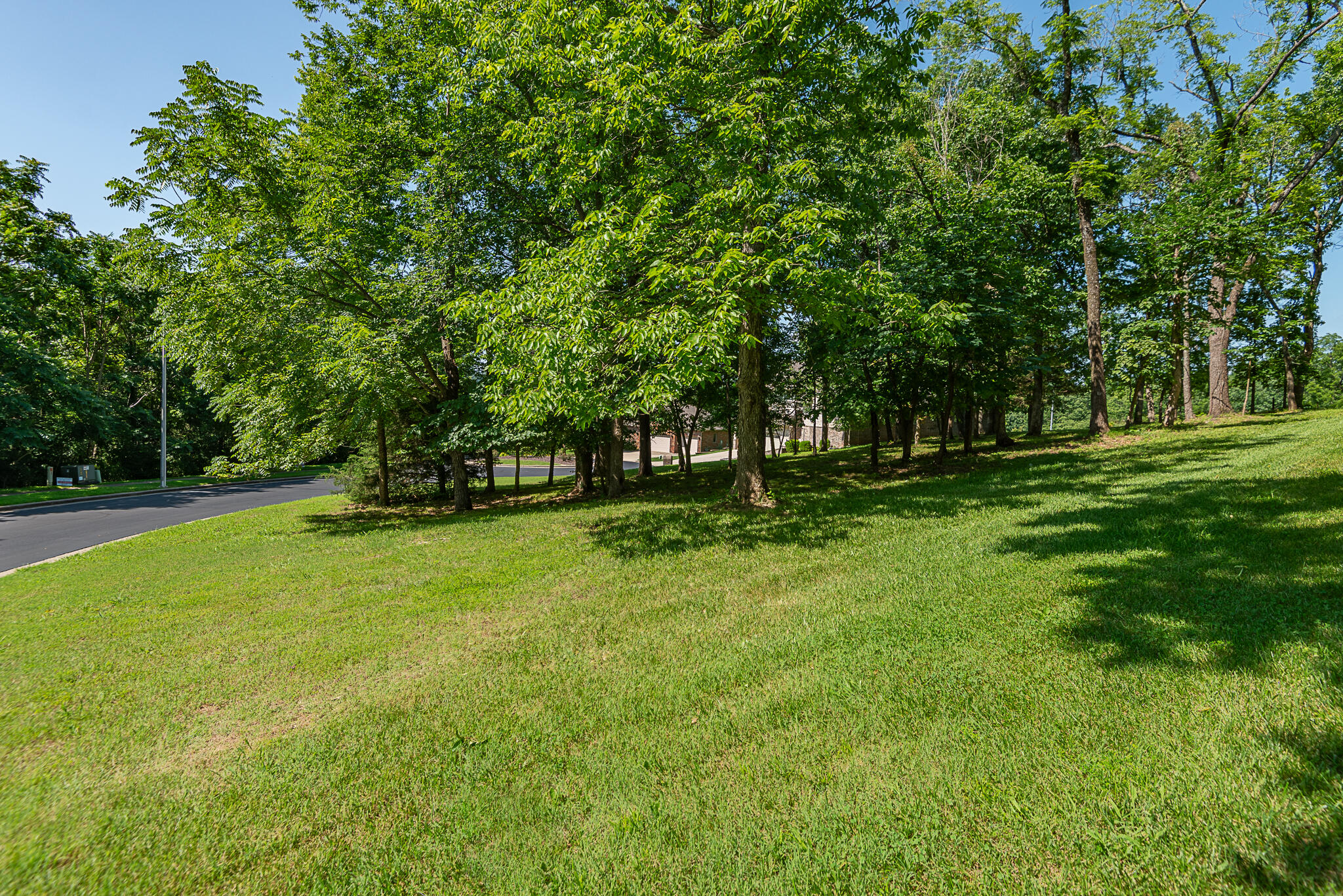 Photo 4 - Land for sale – 5201 S Nettleton Avenue  Springfield, MO