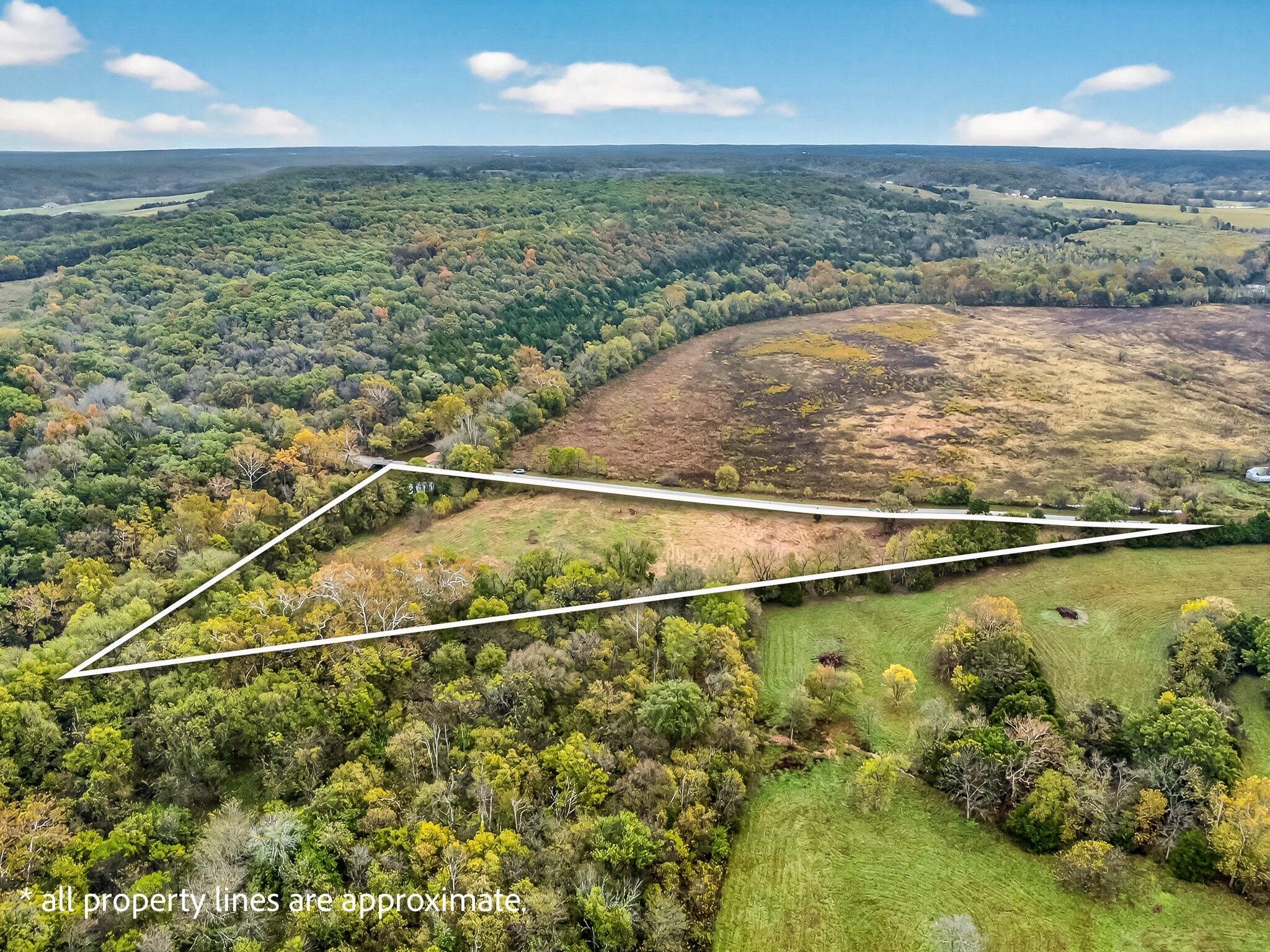 Photo 7 - Land for sale – 000  State Hwy B   Rogersville, MO
