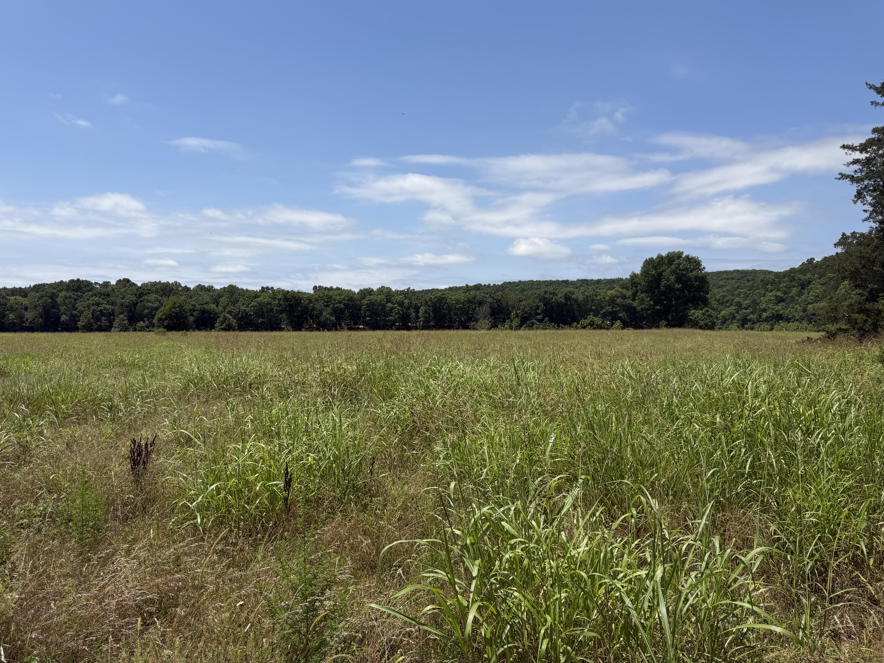 Land for sale – 000  Northfork Village   Tecumseh, MO