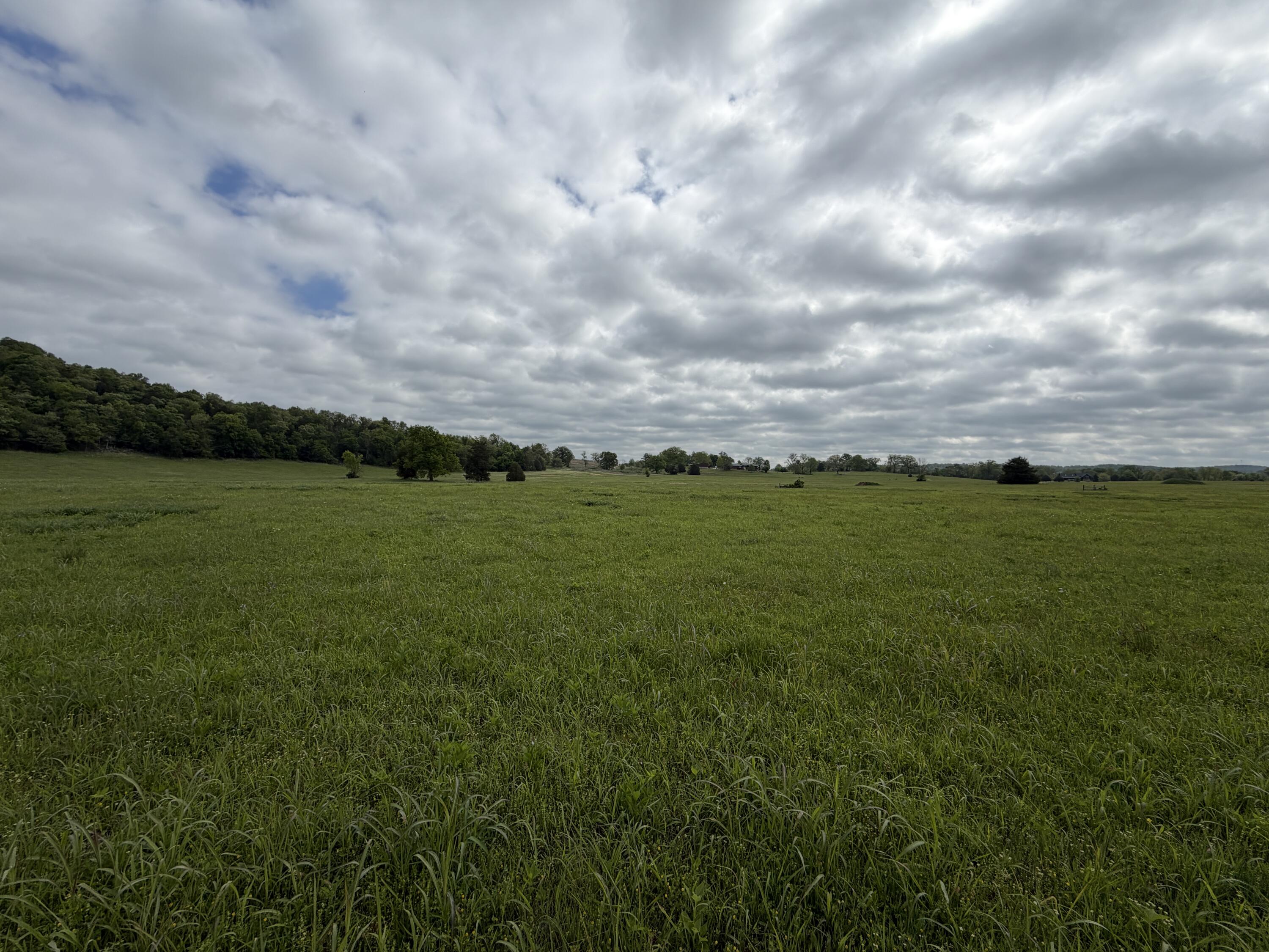 Photo 2 - Land for sale – 000  Northfork Village   Tecumseh, MO