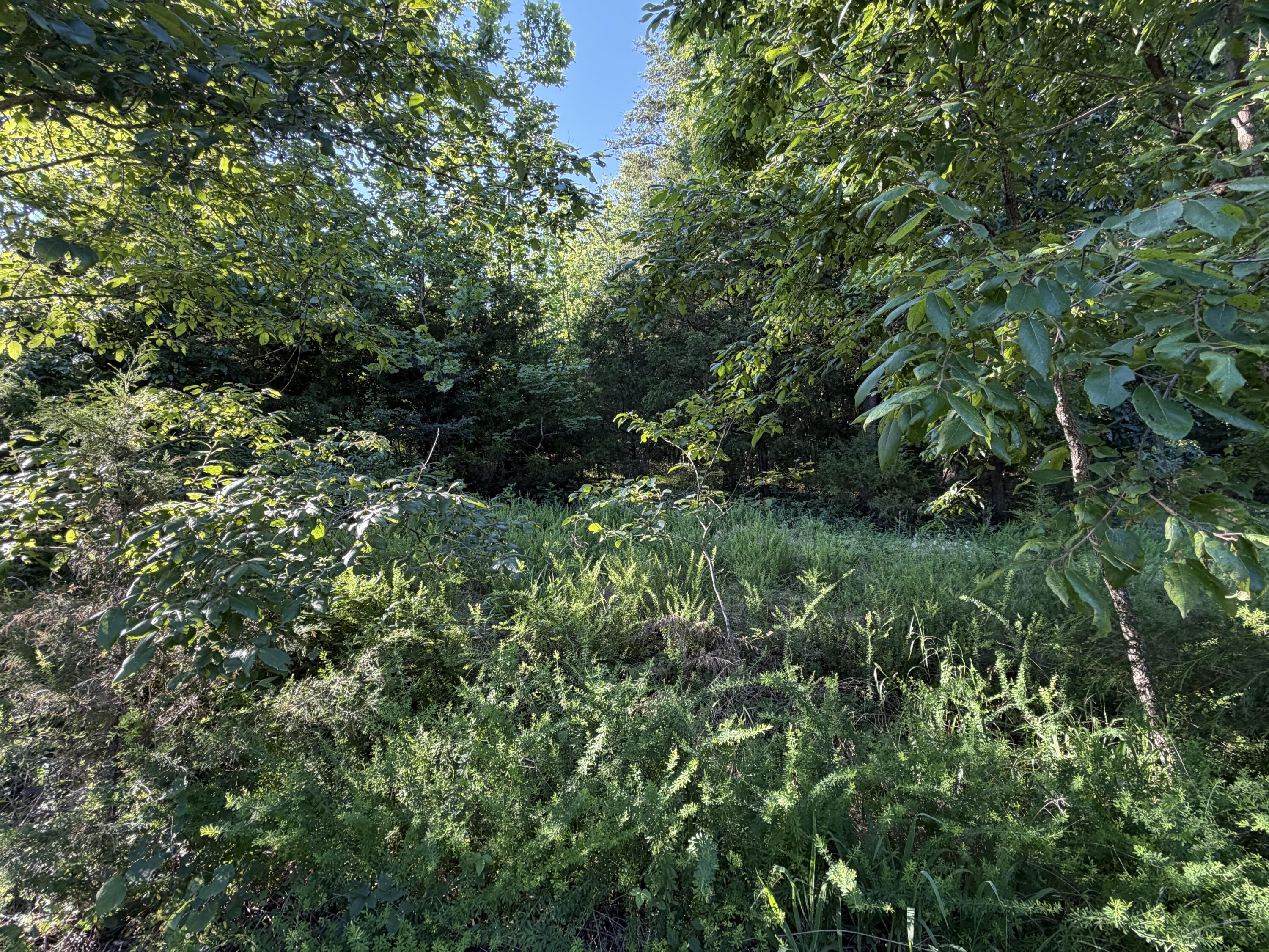 Photo 3 - Land for sale – 000  Wallace Drive  Rockaway Beach, MO