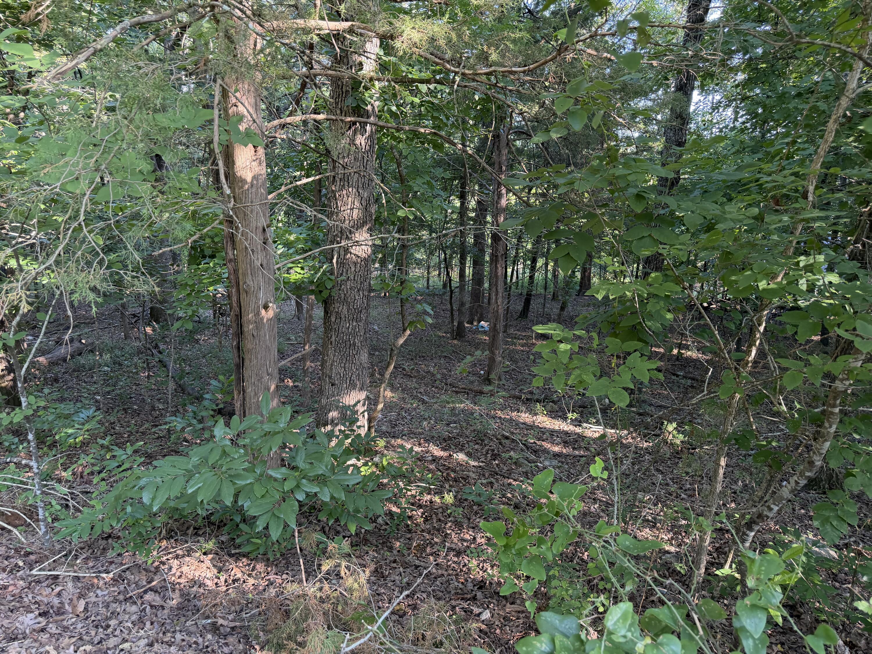 Photo 2 - Land for sale – 000  Cedar Lane  Rockaway Beach, MO