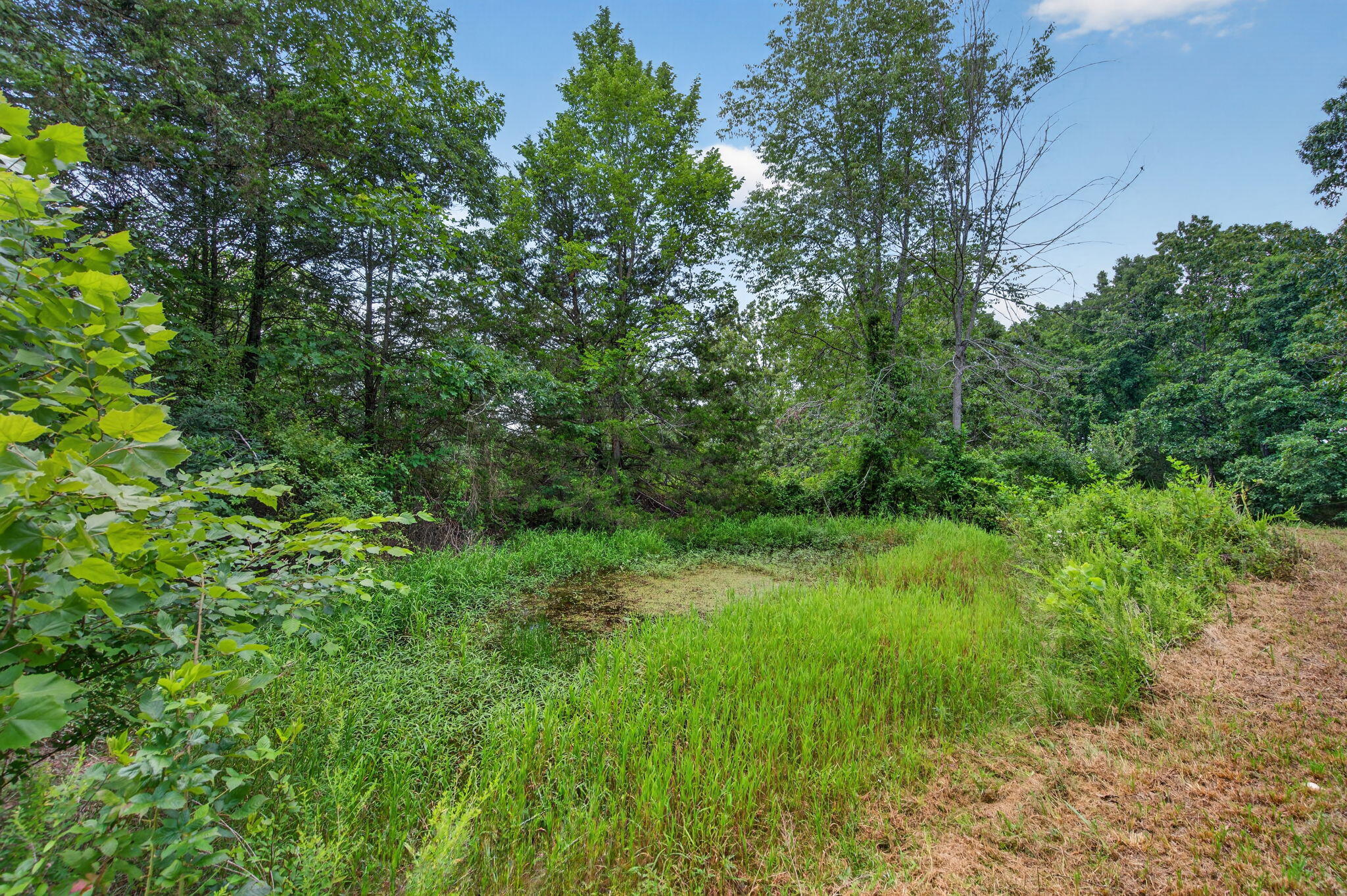 Photo 30 - Residential for sale – 22  Yocum Pond   Galena, MO