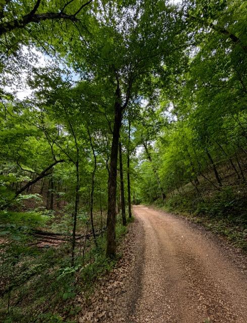Land for sale – 000  Oak Thicket Lane  Galena, MO