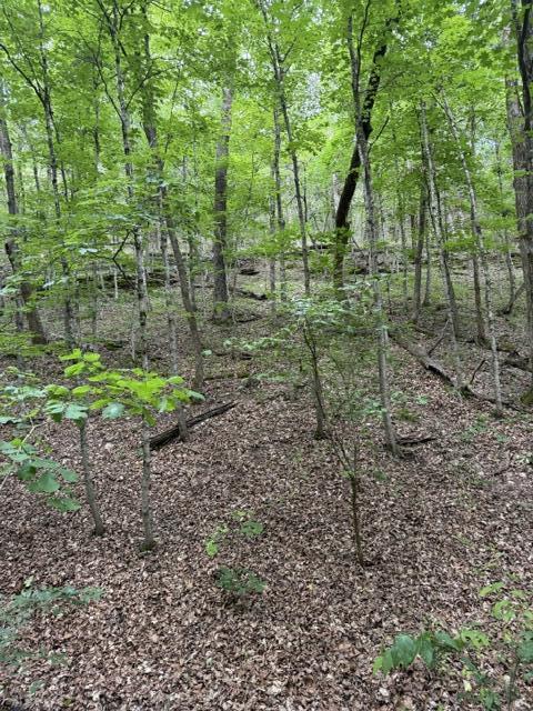 Photo 3 - Land for sale – 000  Oak Thicket Lane  Galena, MO
