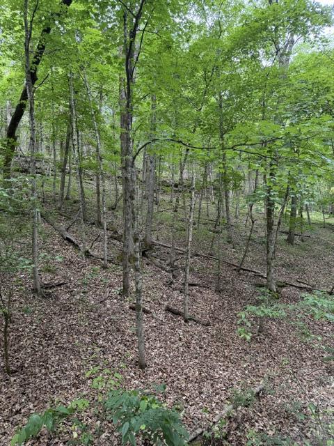 Photo 2 - Land for sale – 000  Oak Thicket Lane  Galena, MO