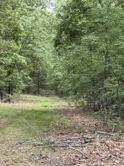 Photo 4 - Land for sale – 000  Oak Thicket Lane  Galena, MO