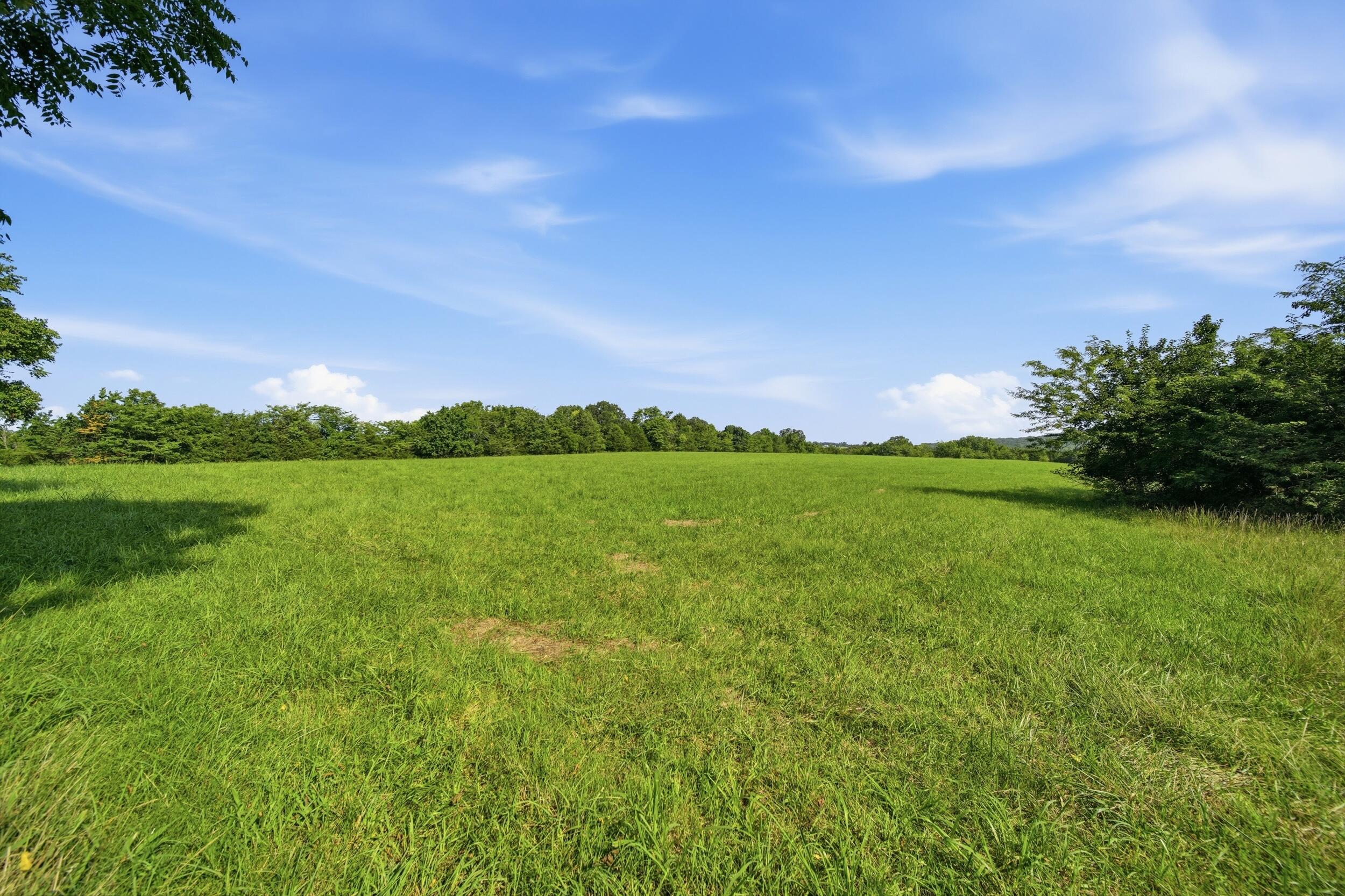 Photo 12 - Land for sale – 000  Wild Rose   Strafford, MO