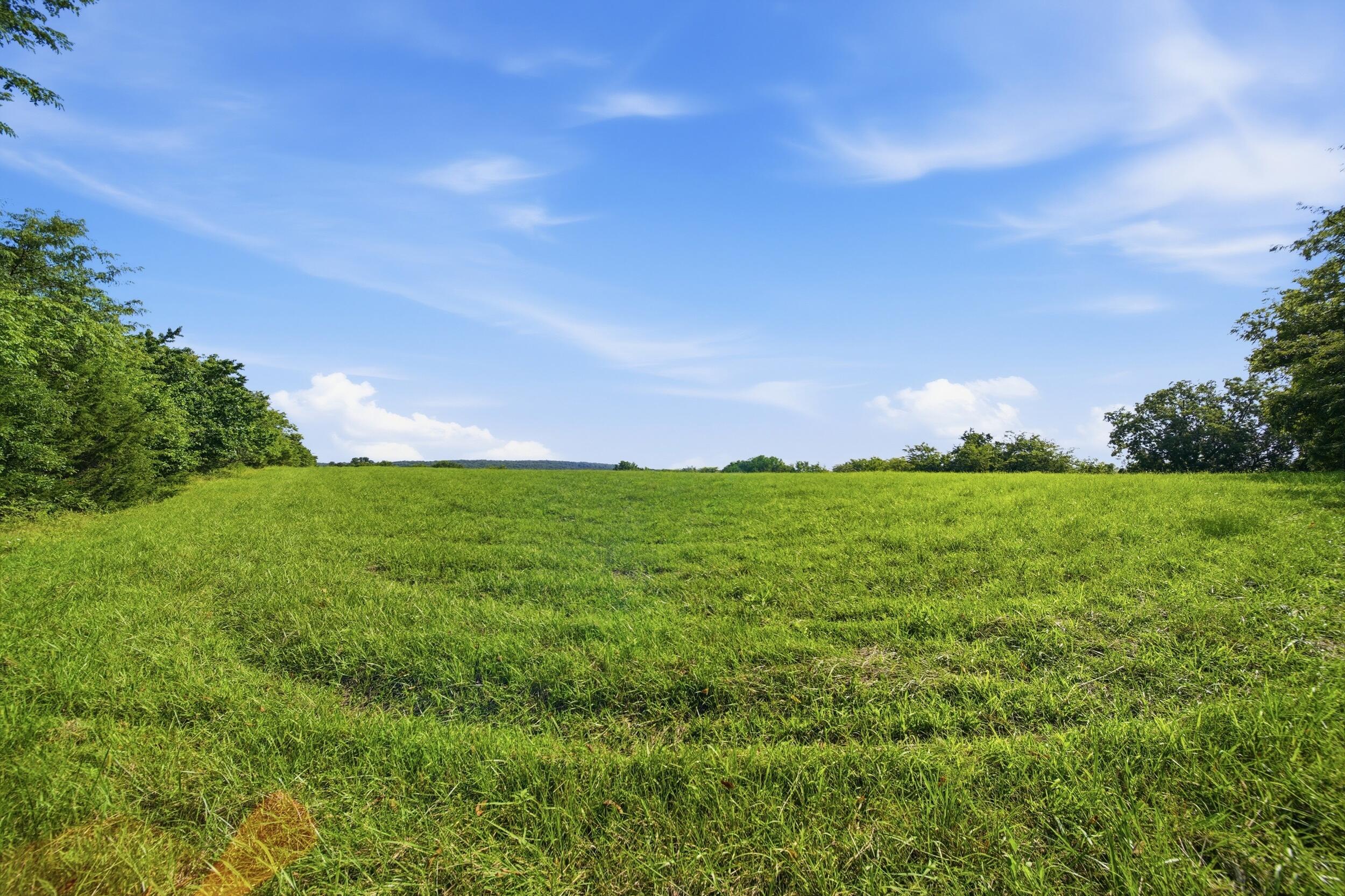 Photo 14 - Land for sale – 000  Wild Rose   Strafford, MO