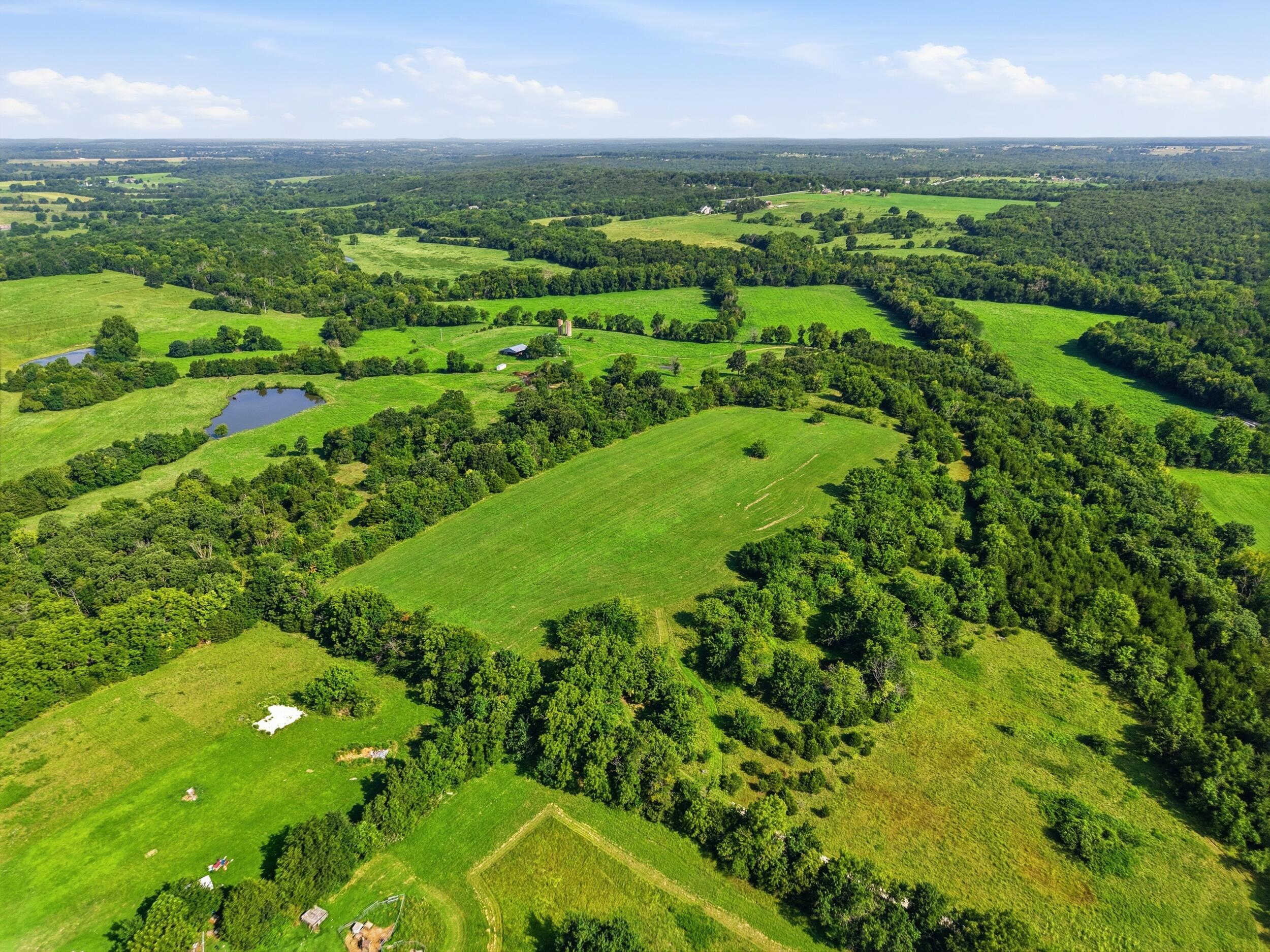 Photo 2 - Land for sale – 000  Wild Rose   Strafford, MO
