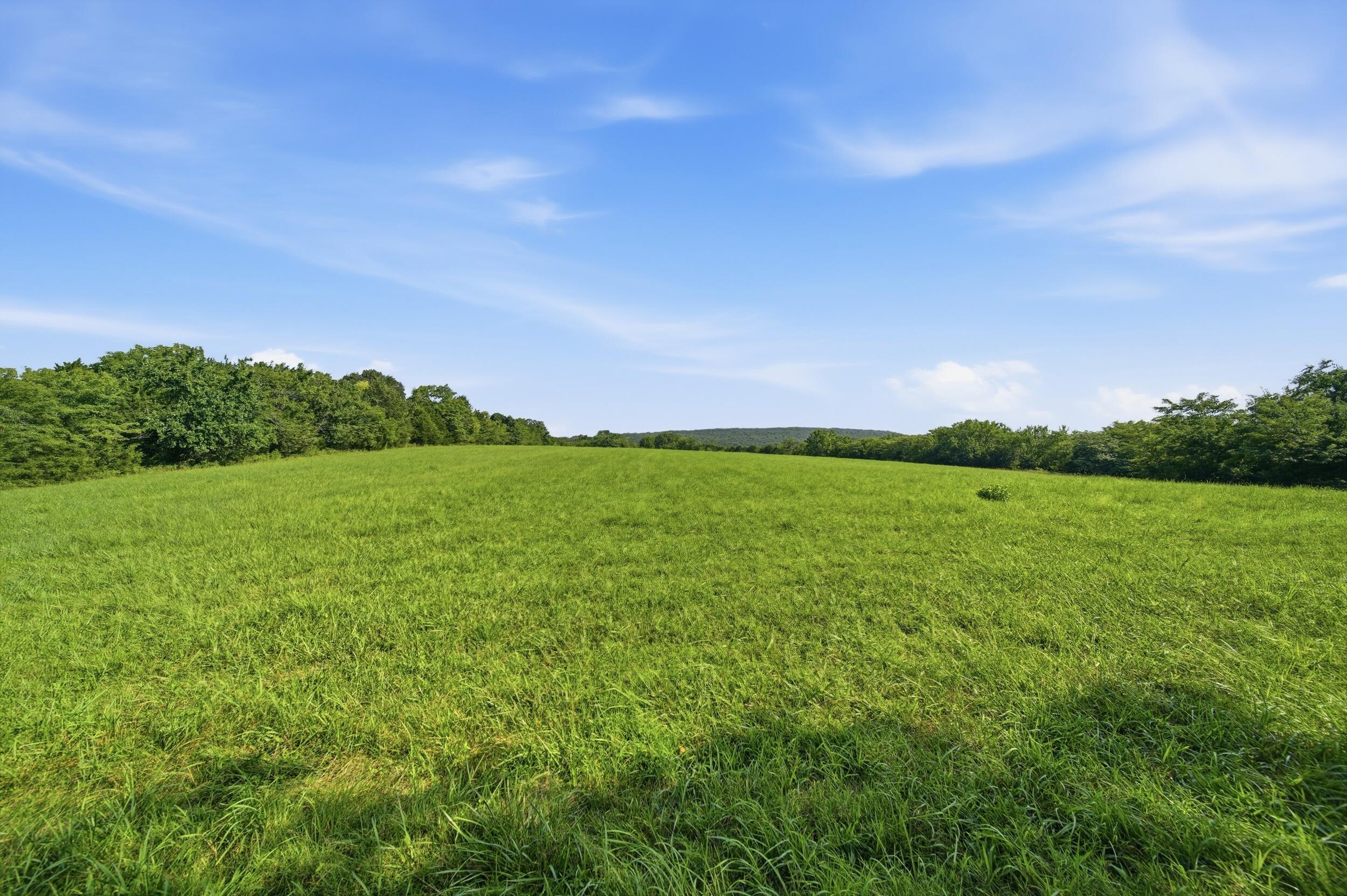 Photo 13 - Land for sale – 000  Wild Rose   Strafford, MO