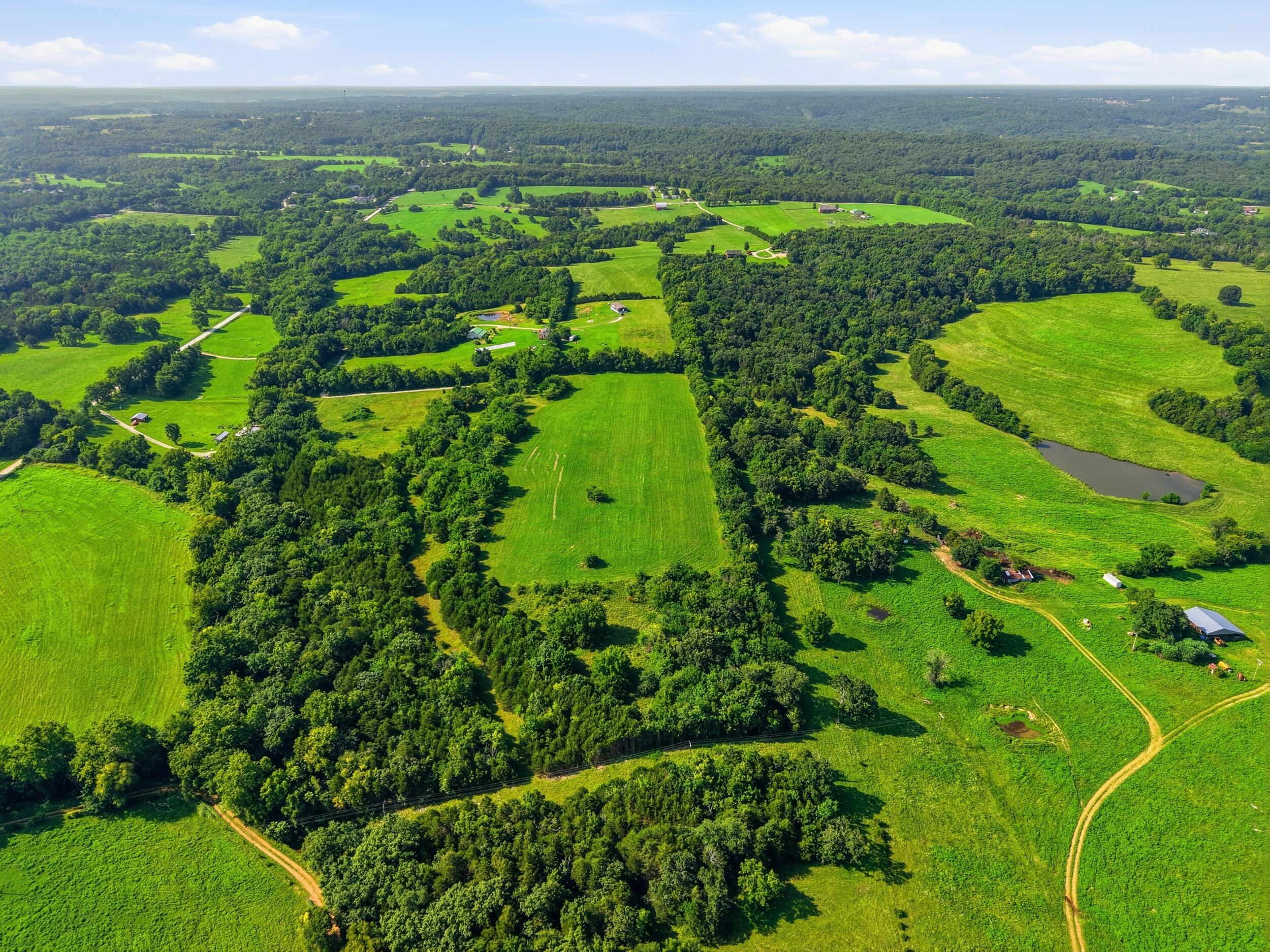 Photo 6 - Land for sale – 000  Wild Rose   Strafford, MO