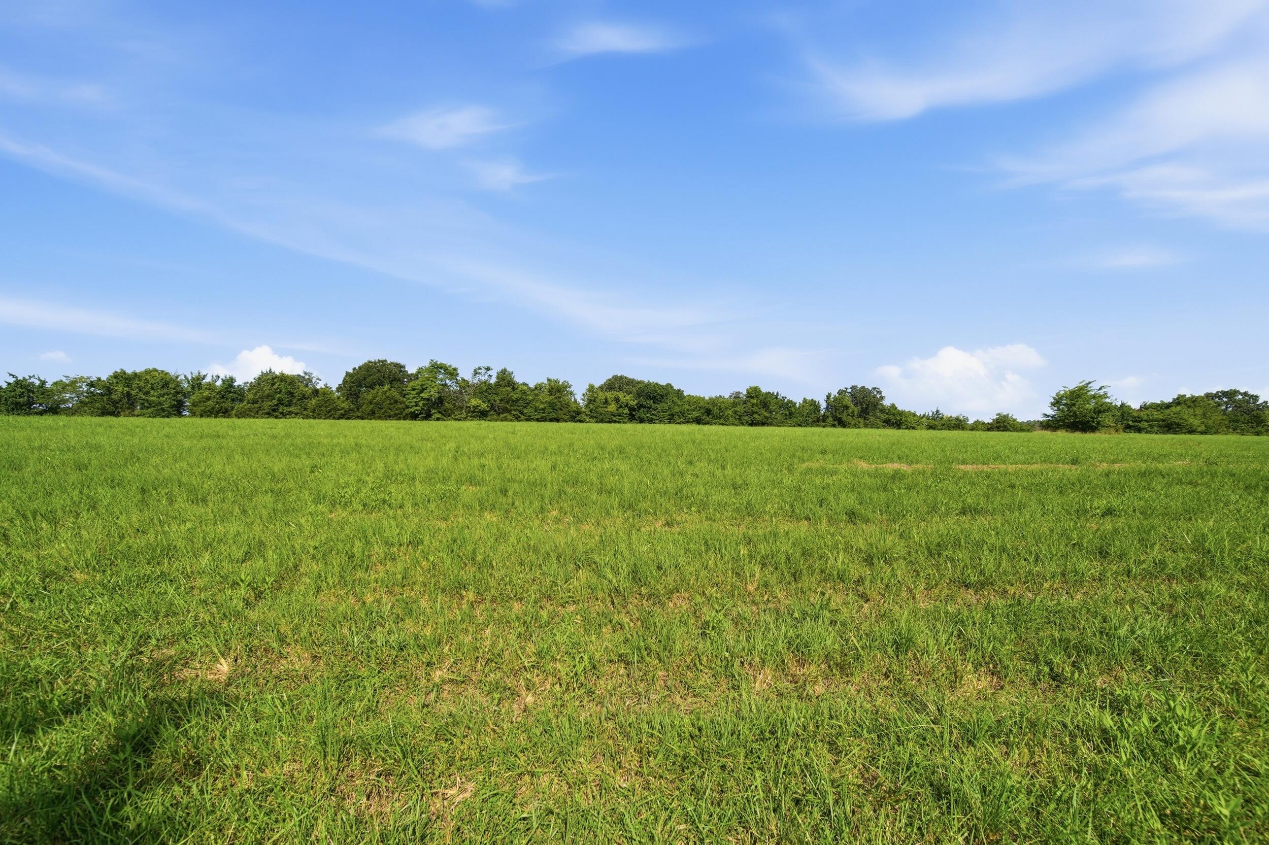 Photo 15 - Land for sale – 000  Wild Rose   Strafford, MO