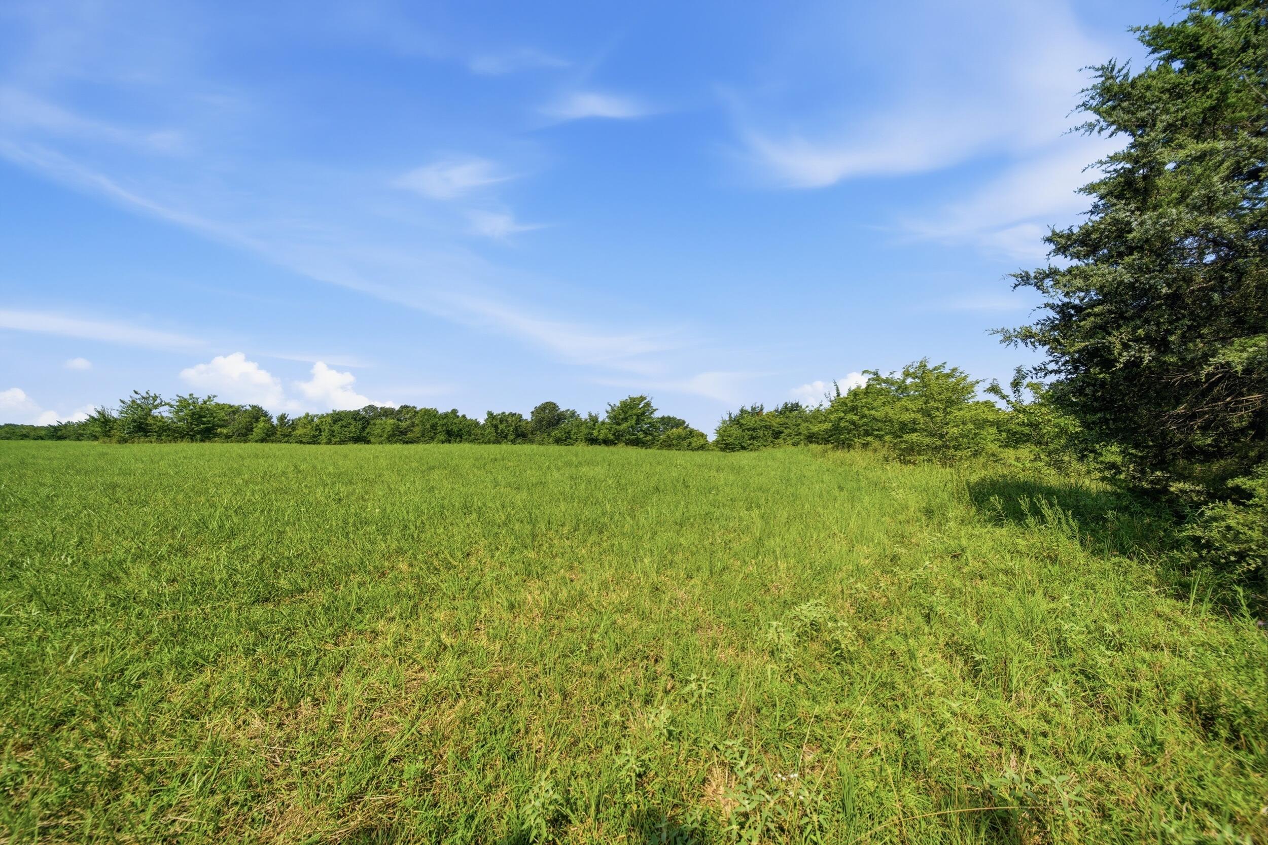 Photo 17 - Land for sale – 000  Wild Rose   Strafford, MO