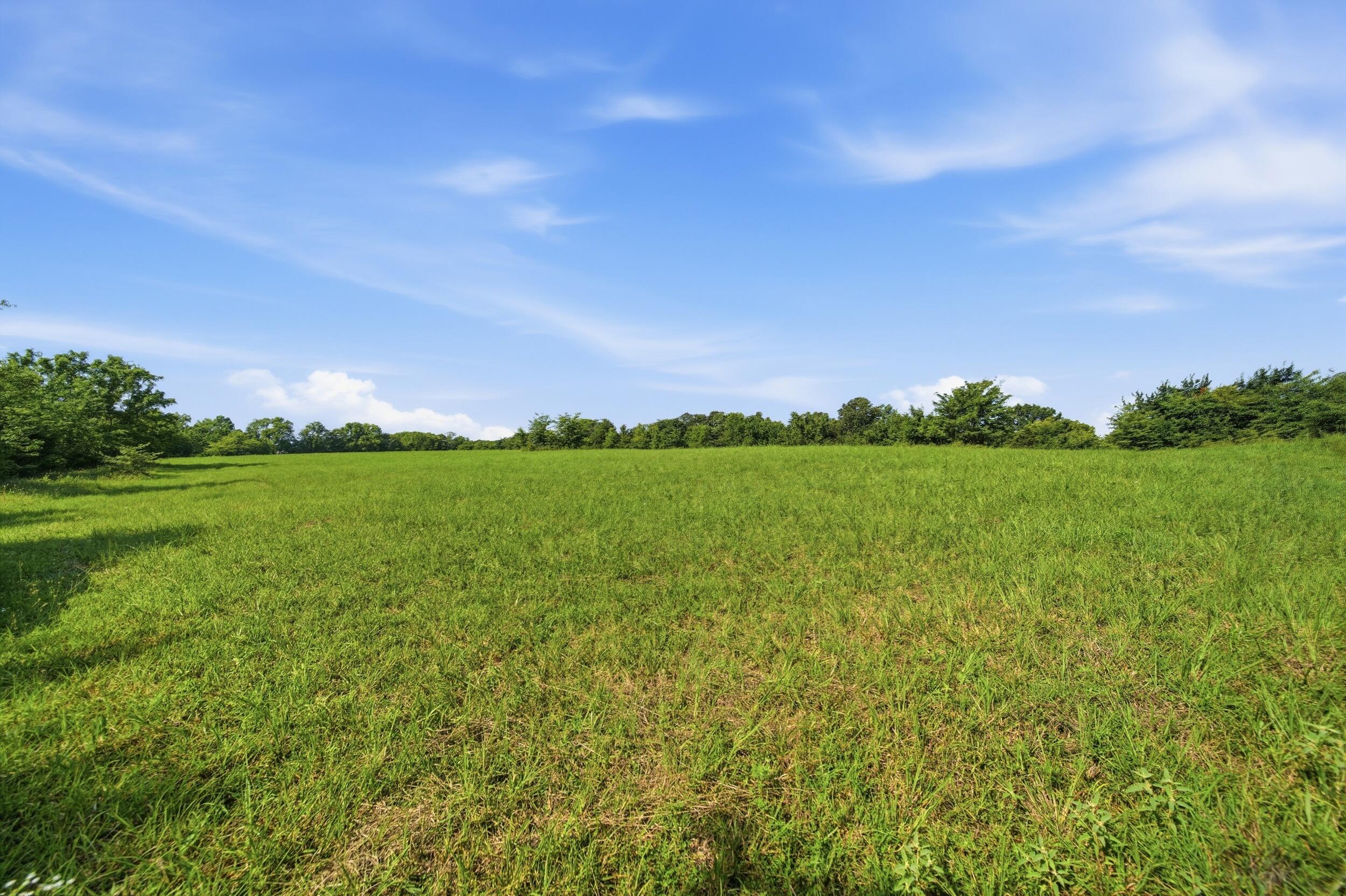 Photo 16 - Land for sale – 000  Wild Rose   Strafford, MO