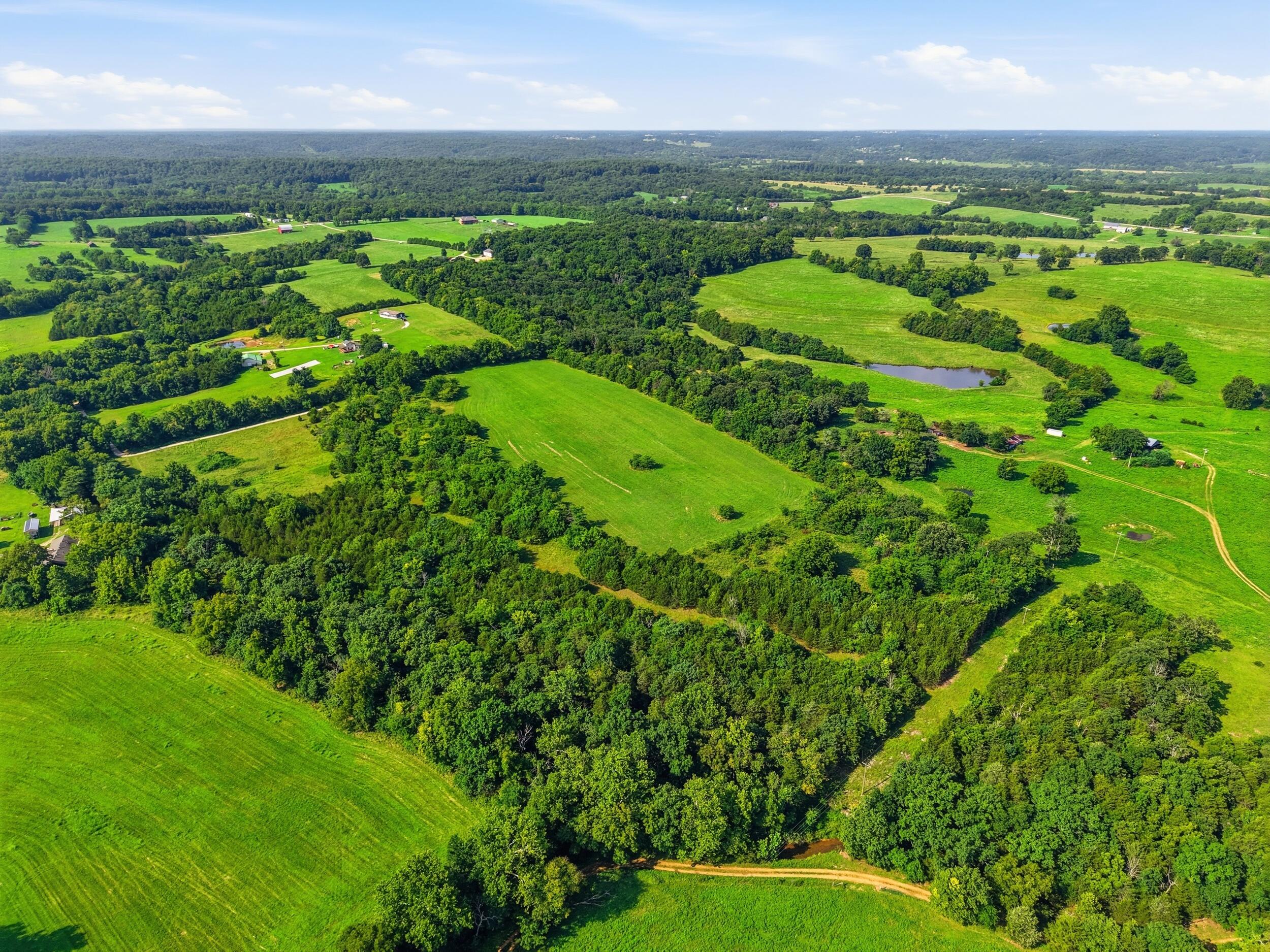 Photo 7 - Land for sale – 000  Wild Rose   Strafford, MO