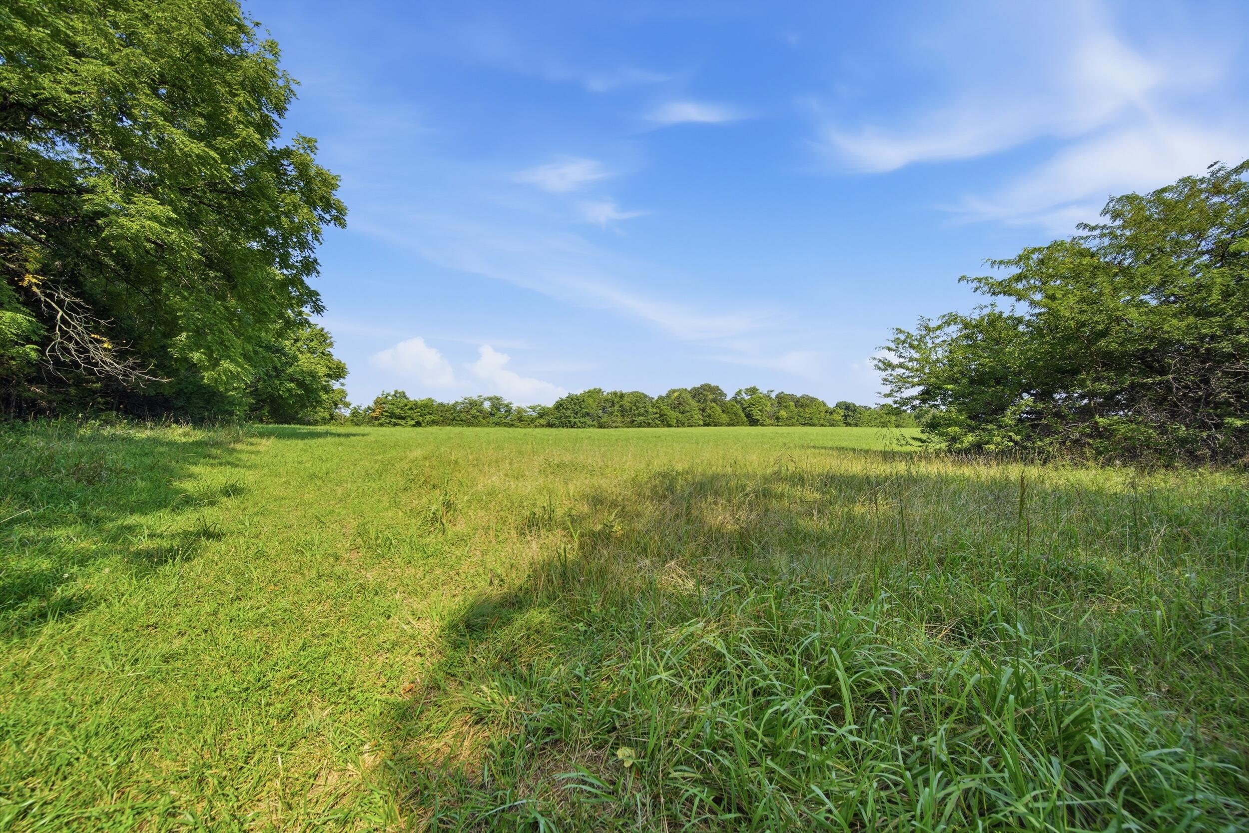 Photo 11 - Land for sale – 000  Wild Rose   Strafford, MO
