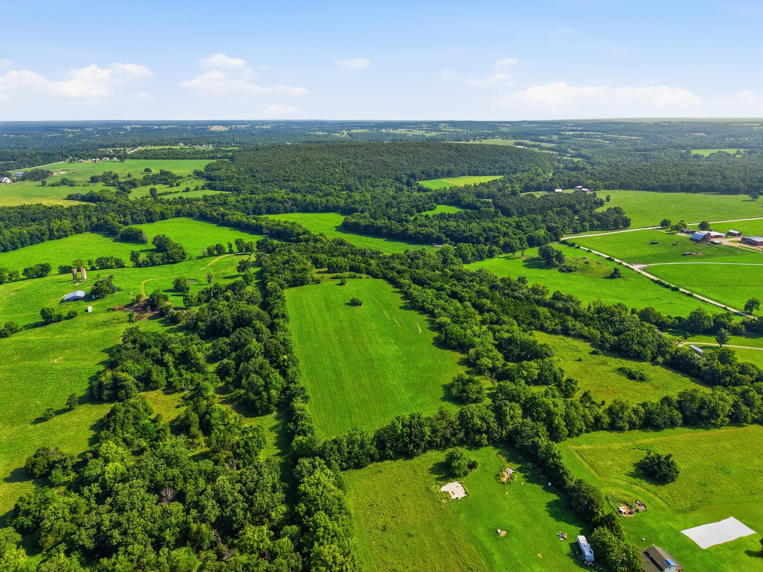 Photo 3 - Land for sale – 000  Wild Rose   Strafford, MO