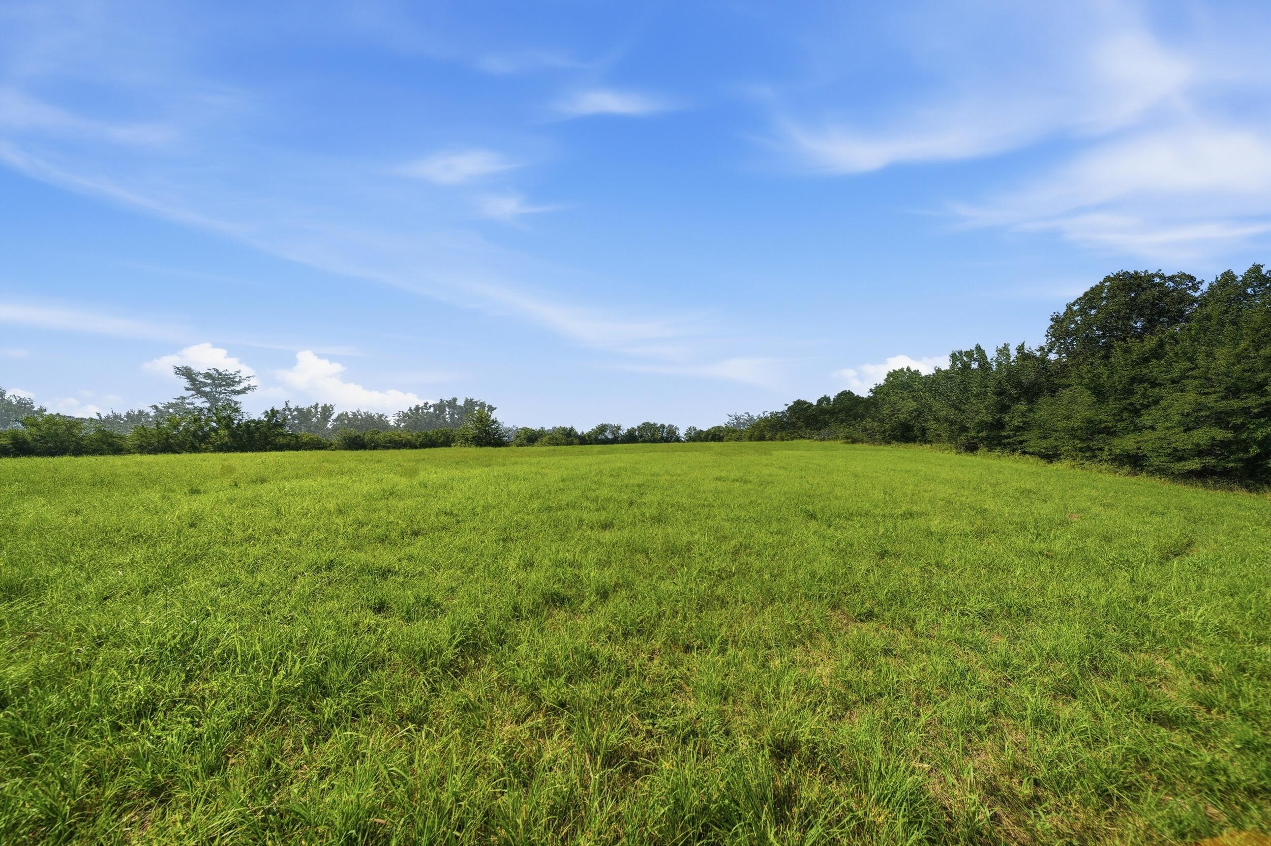 Photo 18 - Land for sale – 000  Wild Rose   Strafford, MO