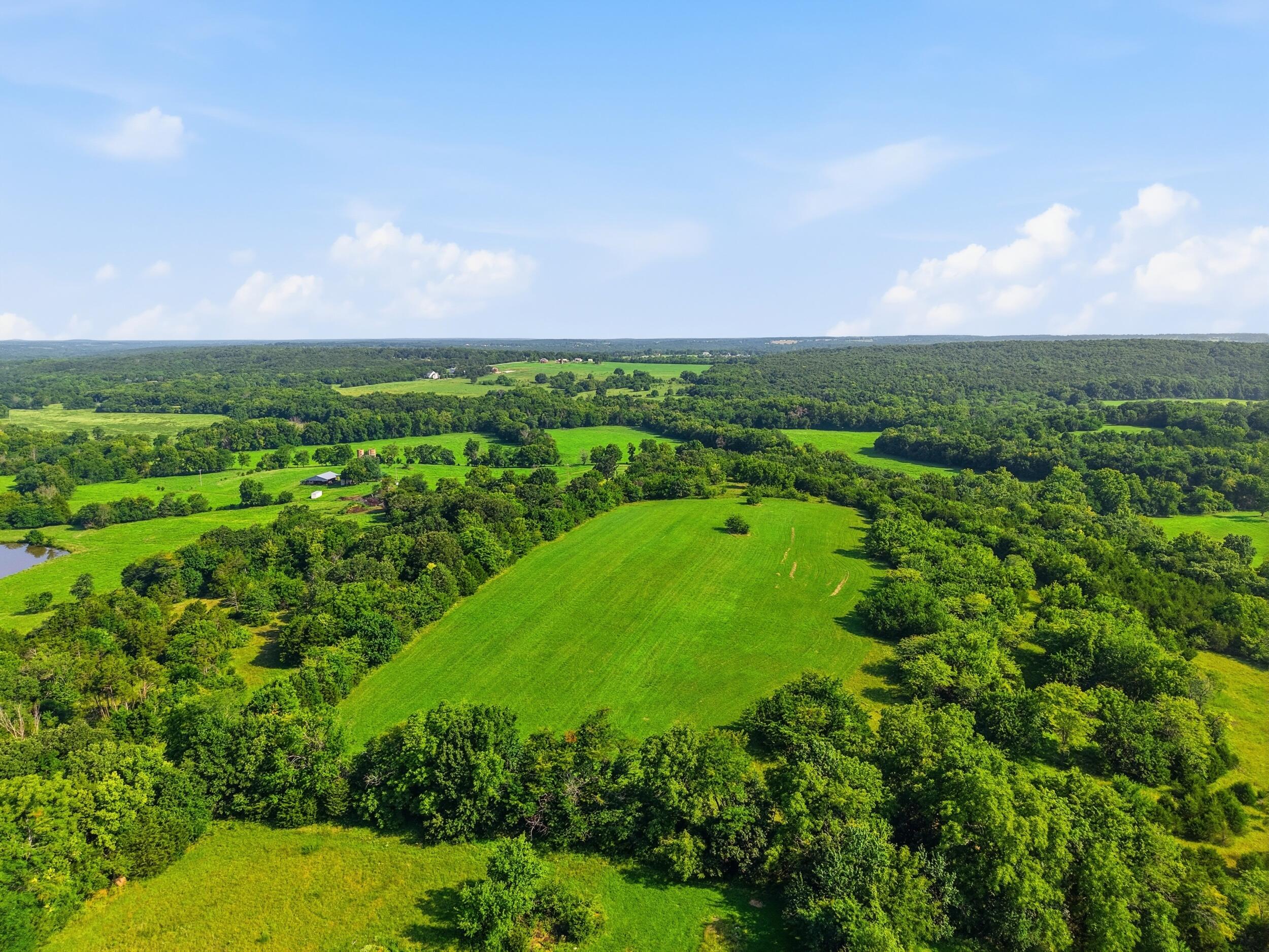 Photo 19 - Land for sale – 000  Wild Rose   Strafford, MO
