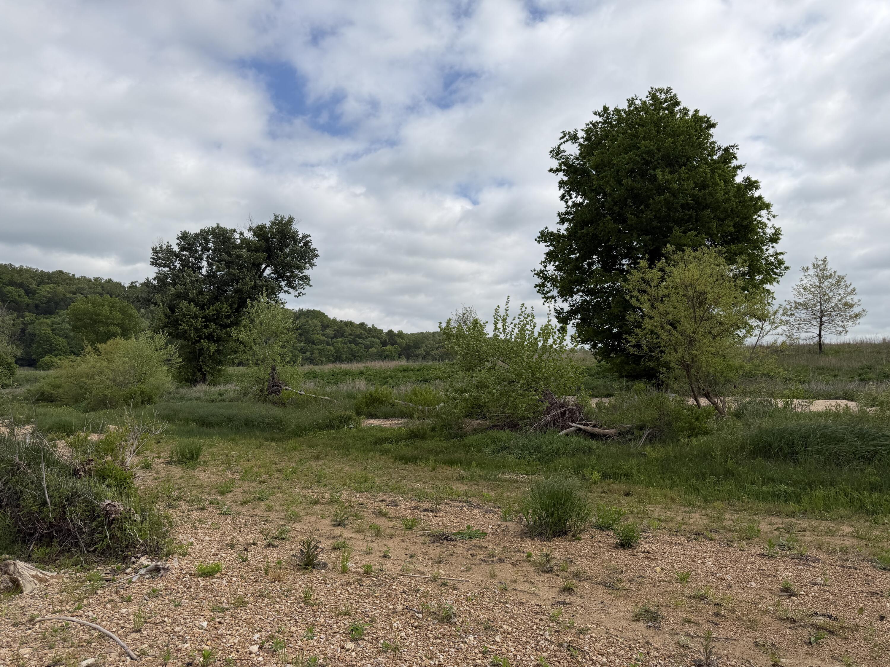Photo 5 - Land for sale – 000  Northfork Village Street  Tecumseh, MO