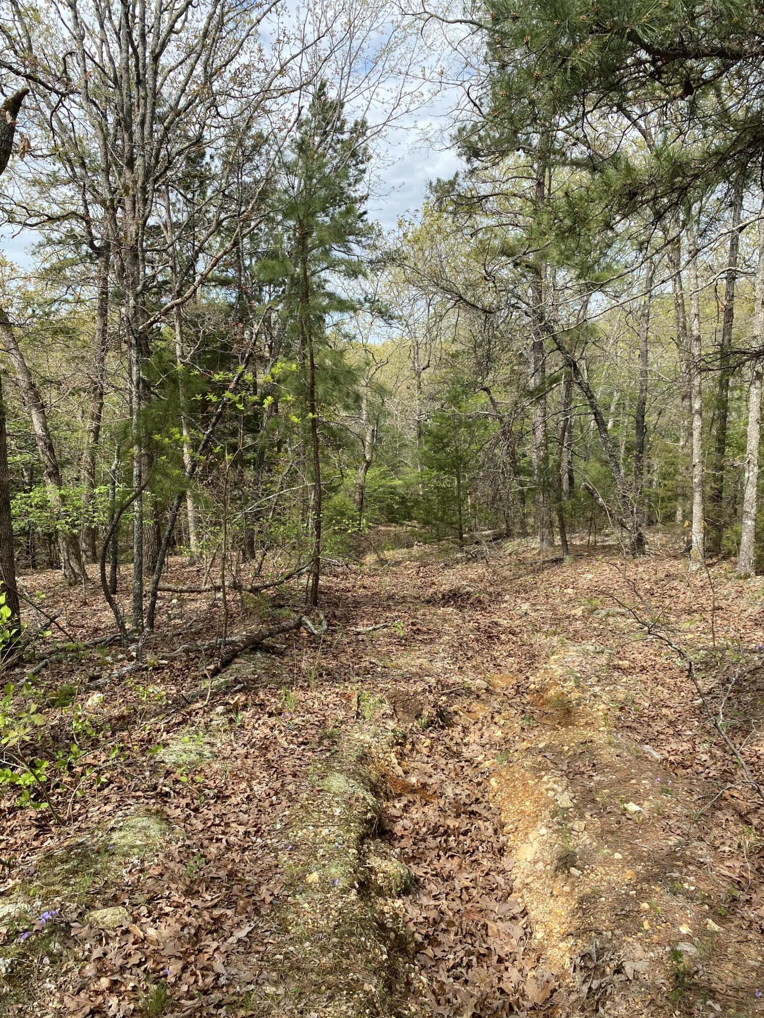Photo 30 - Residential for sale – 3365  County Road 153   Gainesville, MO