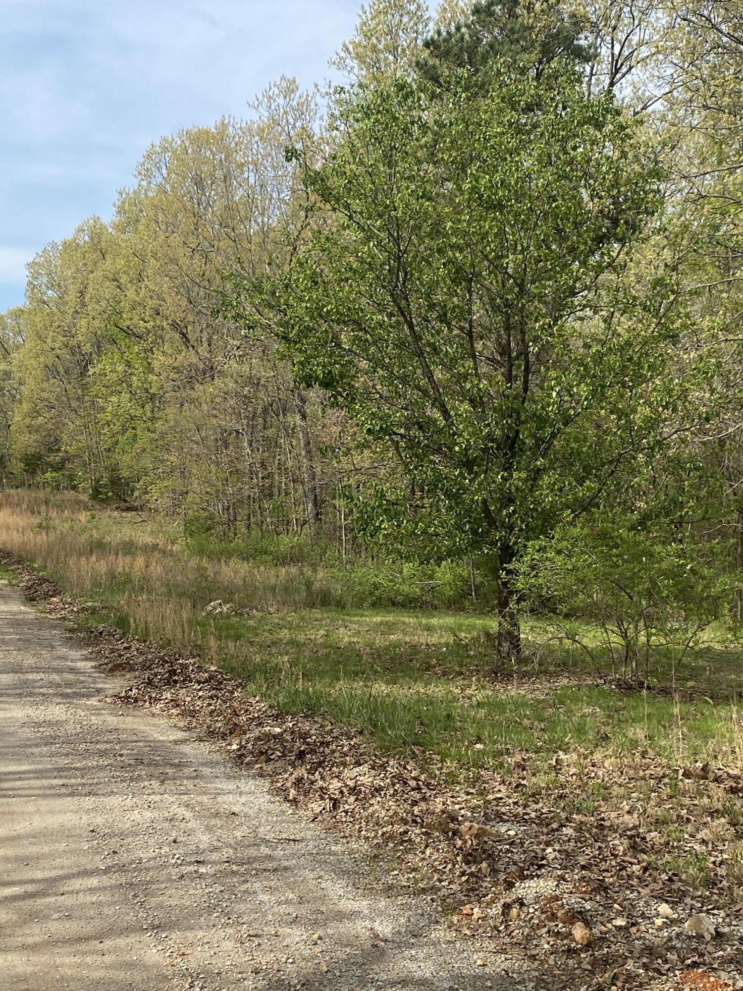 Photo 35 - Residential for sale – 3365  County Road 153   Gainesville, MO