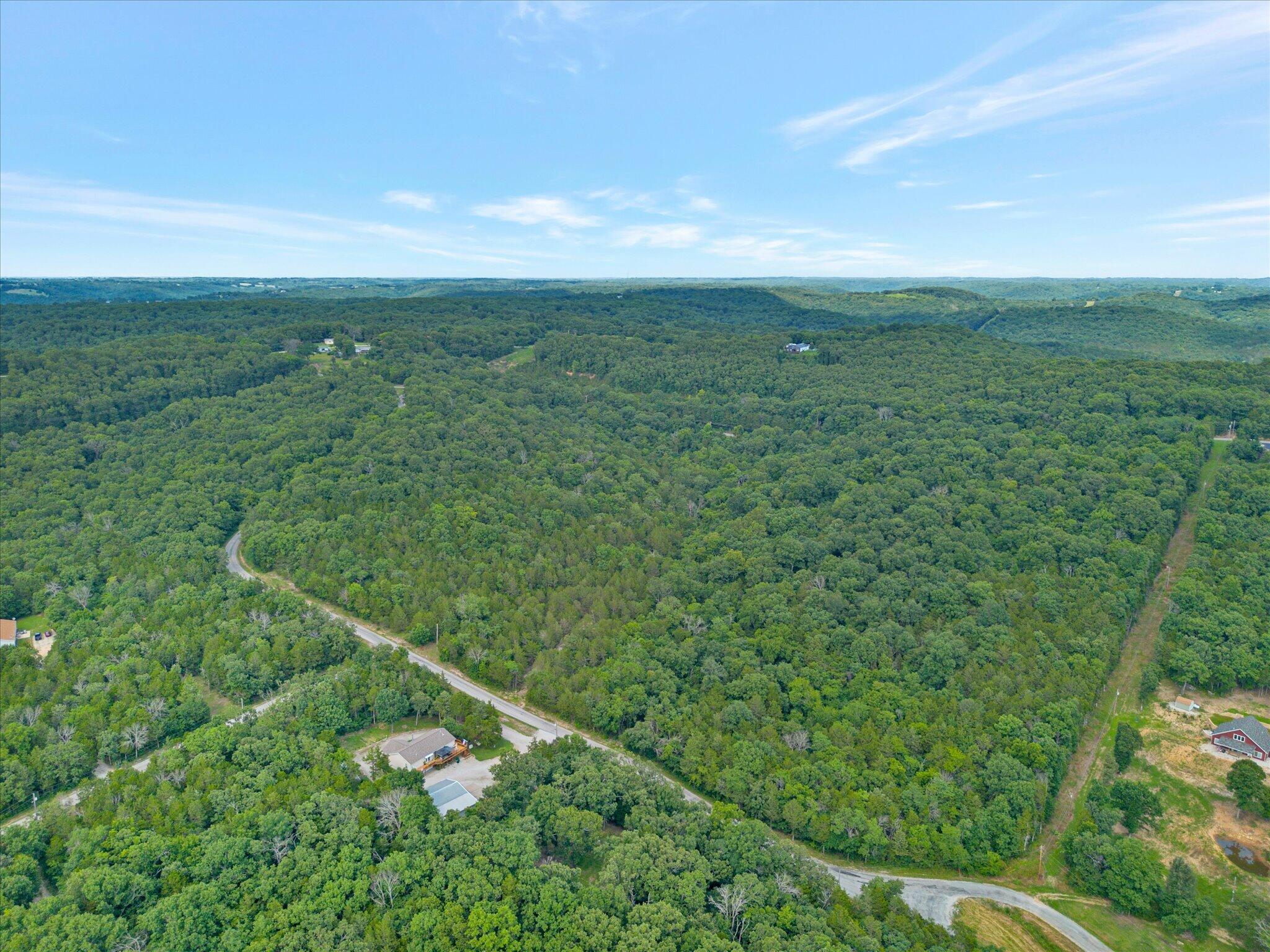 Photo 4 - Land for sale – 000  Pioneer Point Road, Tract 1   Galena, MO