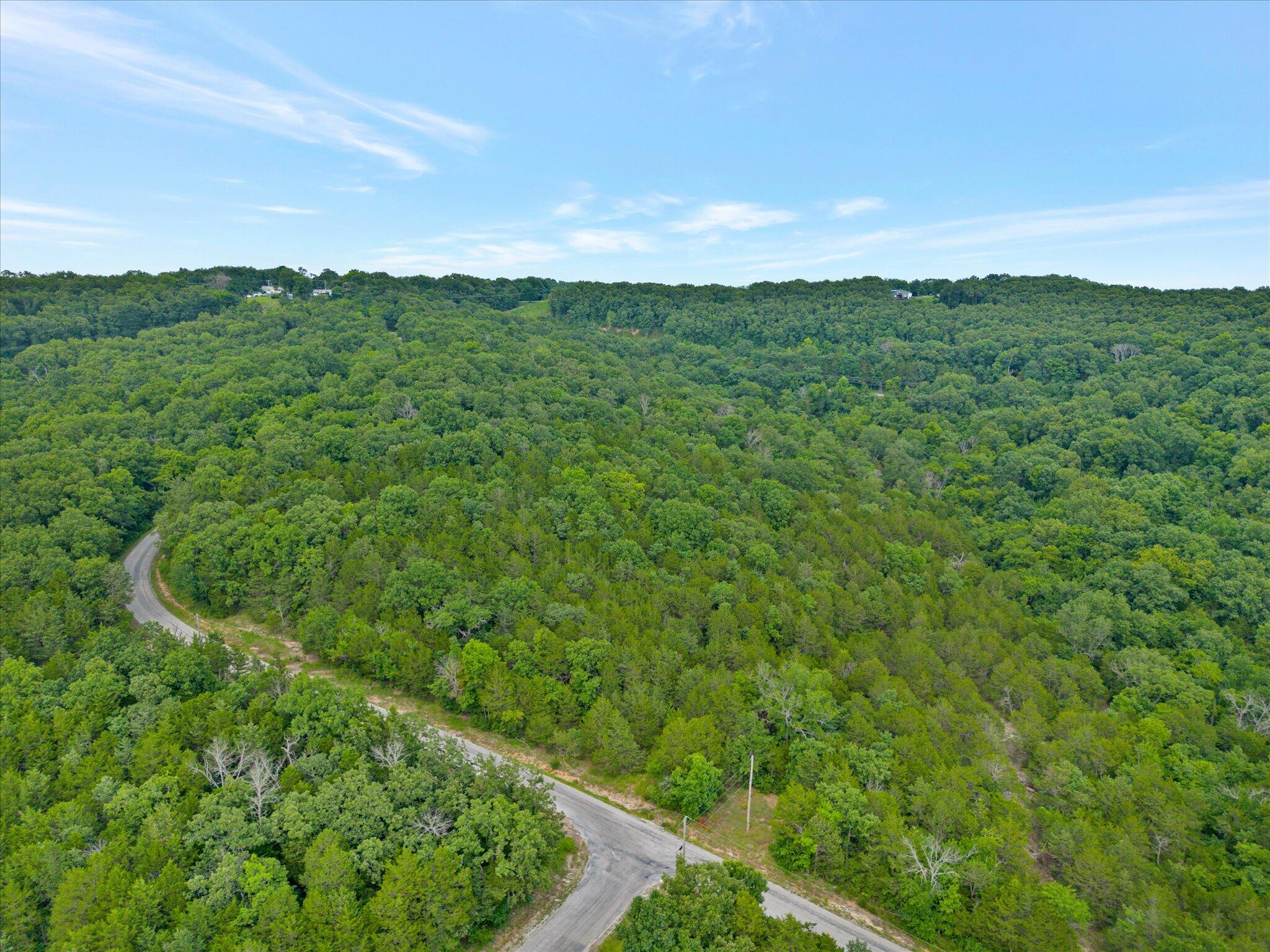 Photo 3 - Land for sale – 000  Pioneer Point Road, Tract 1   Galena, MO