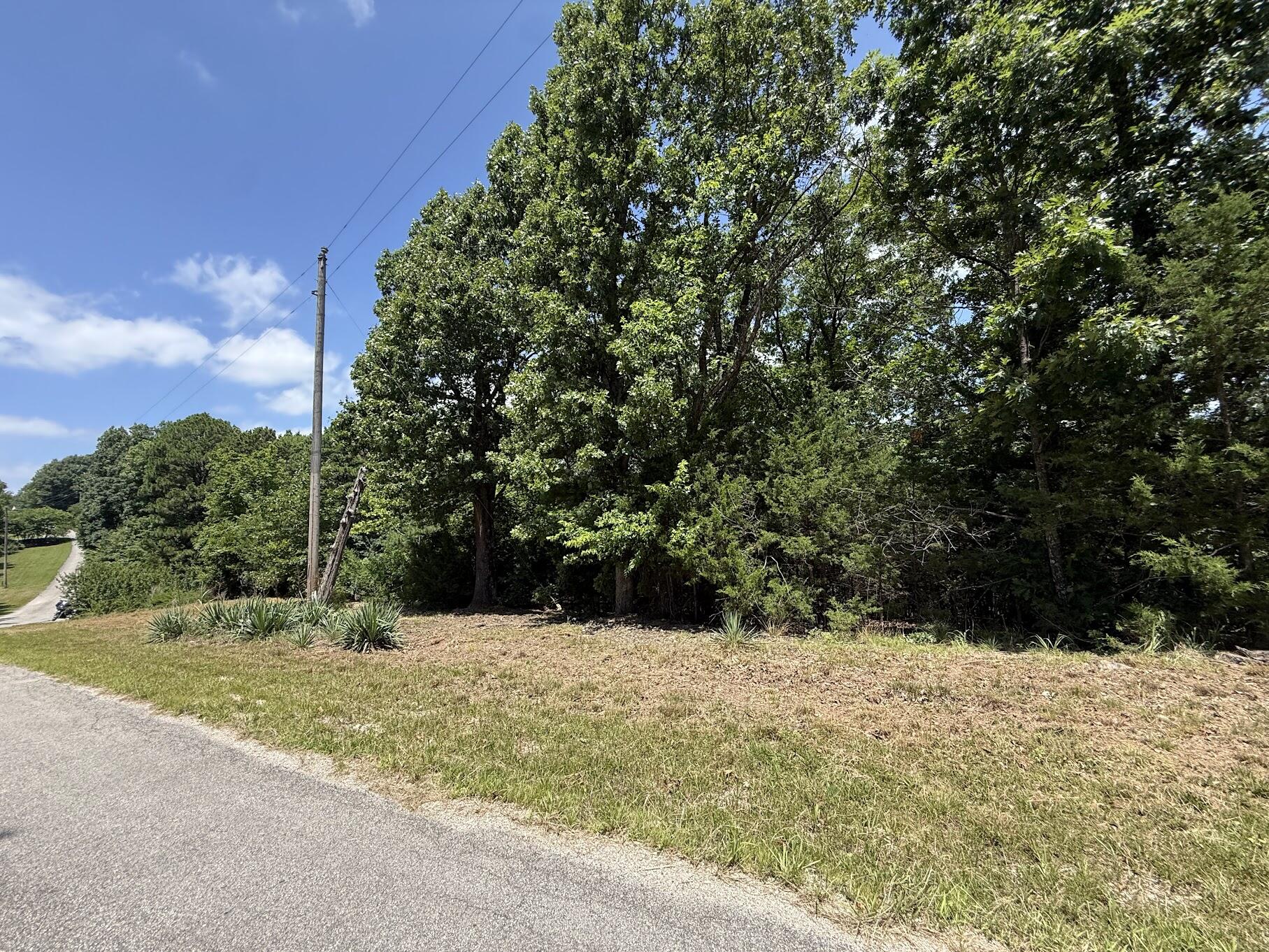 Land for sale – Lot 14&15  Mountain Estate Drive  Blue Eye, MO