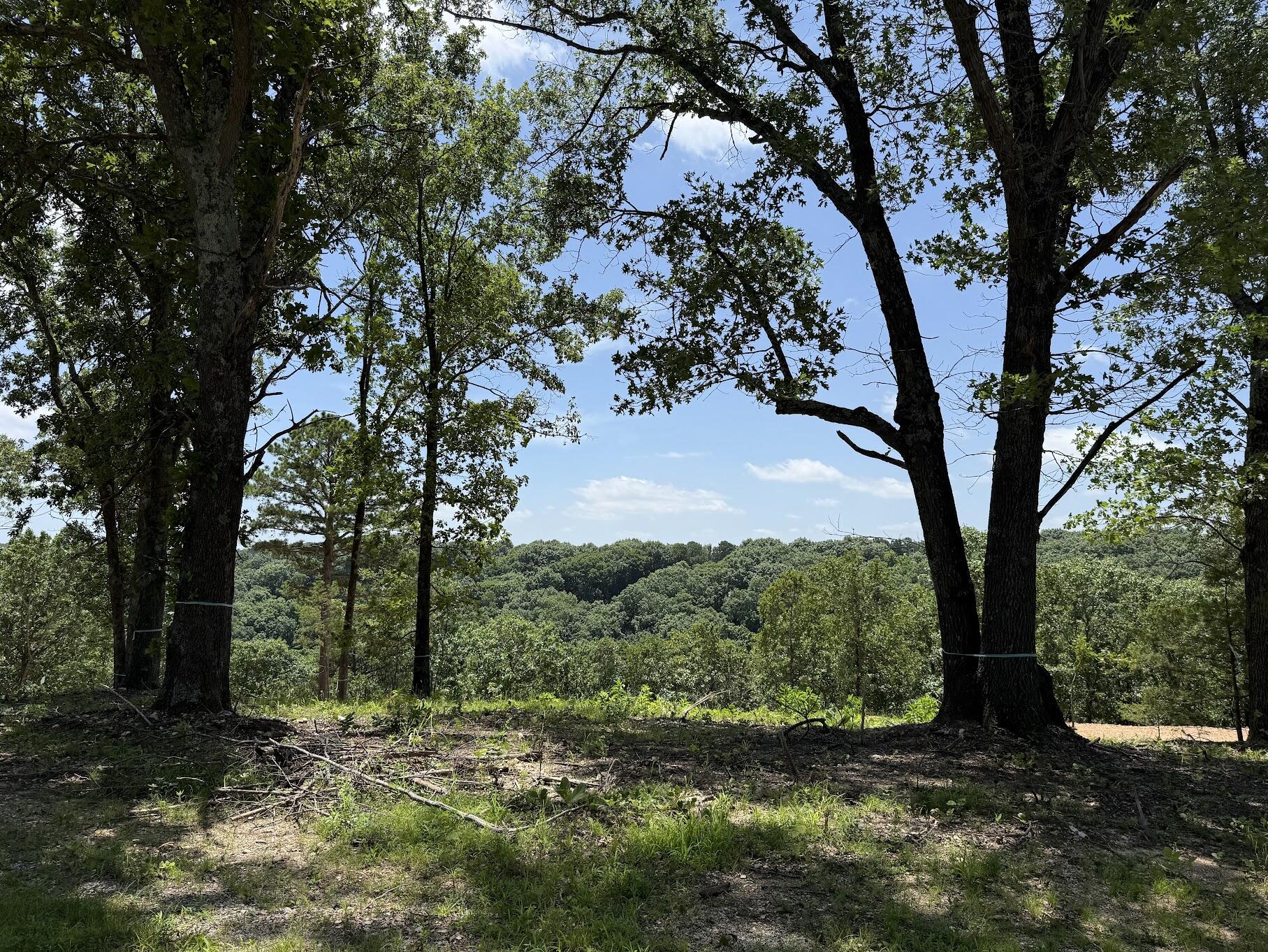 Photo 6 - Land for sale – Lot 14&15  Mountain Estate Drive  Blue Eye, MO