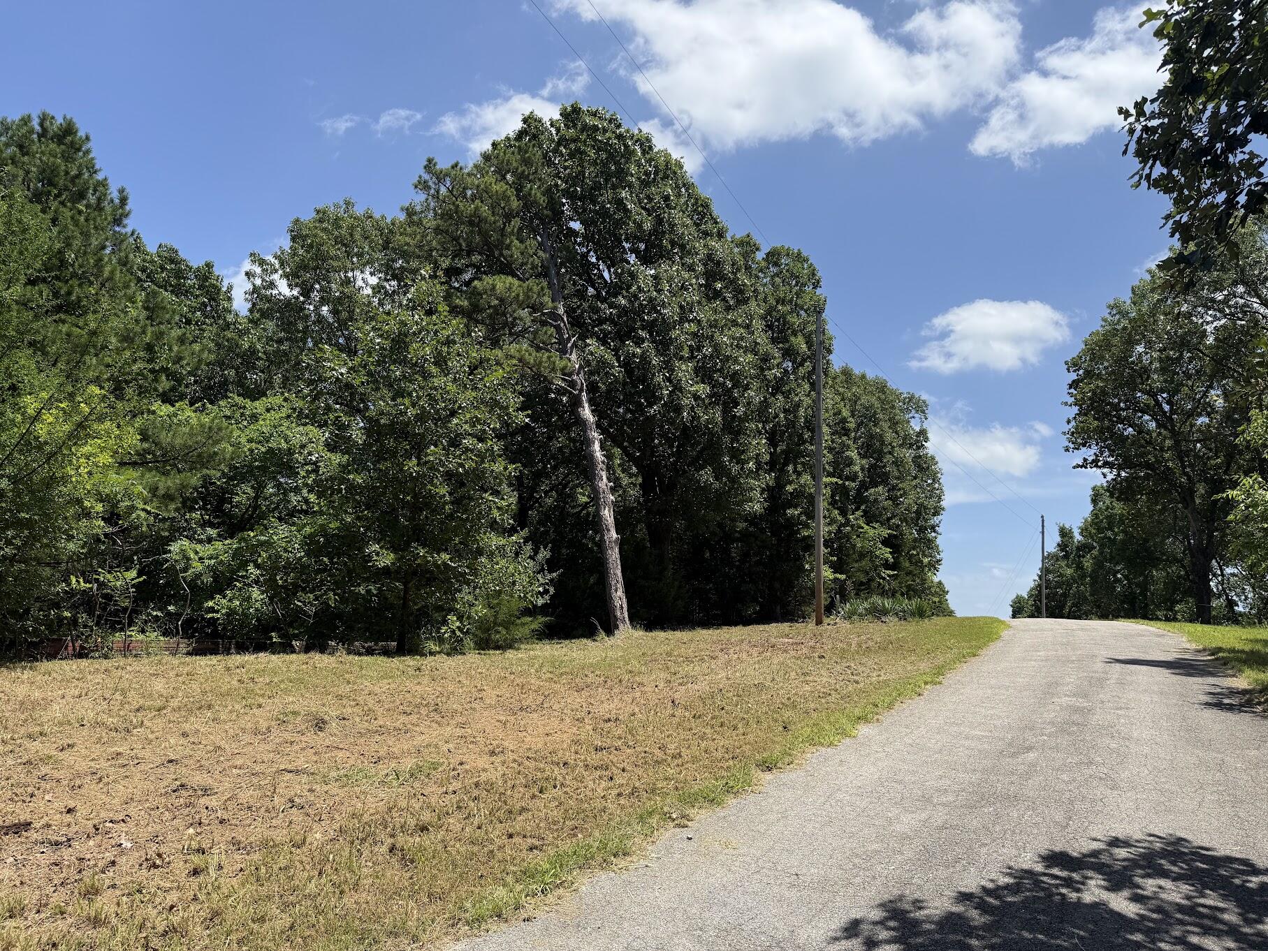 Photo 8 - Land for sale – Lot 14&15  Mountain Estate Drive  Blue Eye, MO