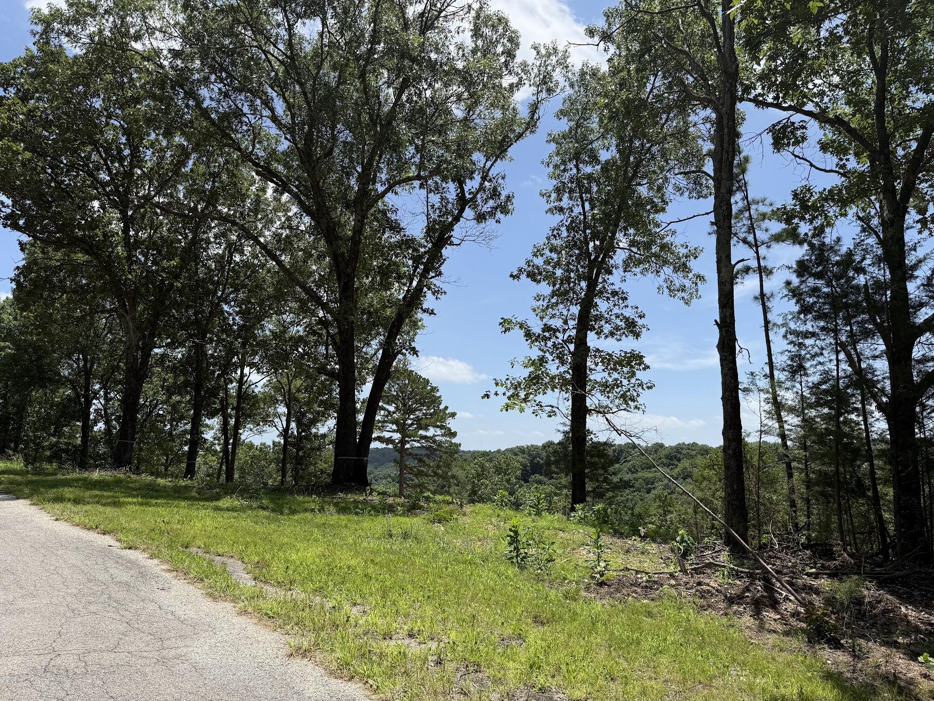 Photo 7 - Land for sale – Lot 14&15  Mountain Estate Drive  Blue Eye, MO