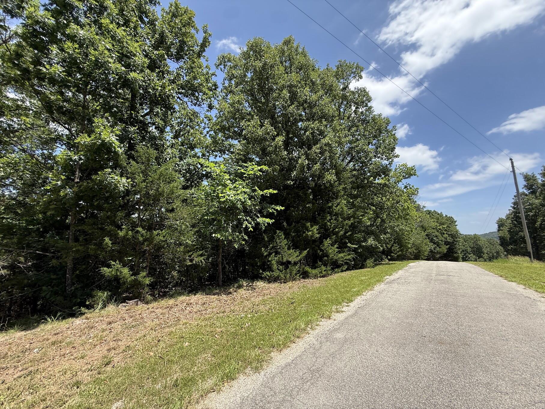 Photo 4 - Land for sale – Lot 14&15  Mountain Estate Drive  Blue Eye, MO