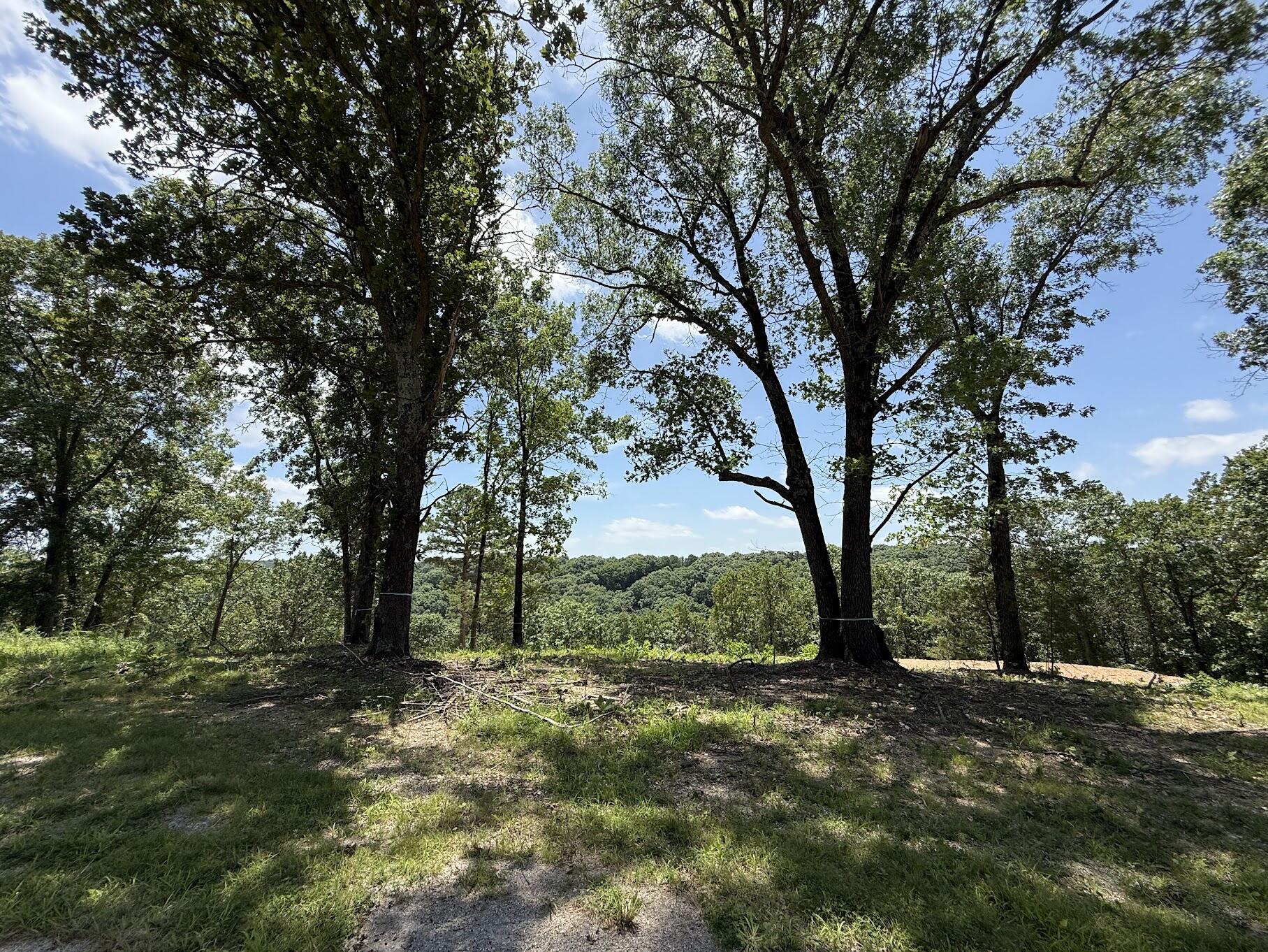 Photo 5 - Land for sale – Lot 14&15  Mountain Estate Drive  Blue Eye, MO