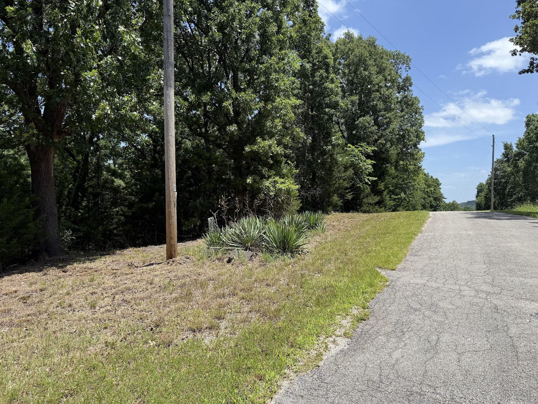 Photo 10 - Land for sale – Lot 14&15  Mountain Estate Drive  Blue Eye, MO